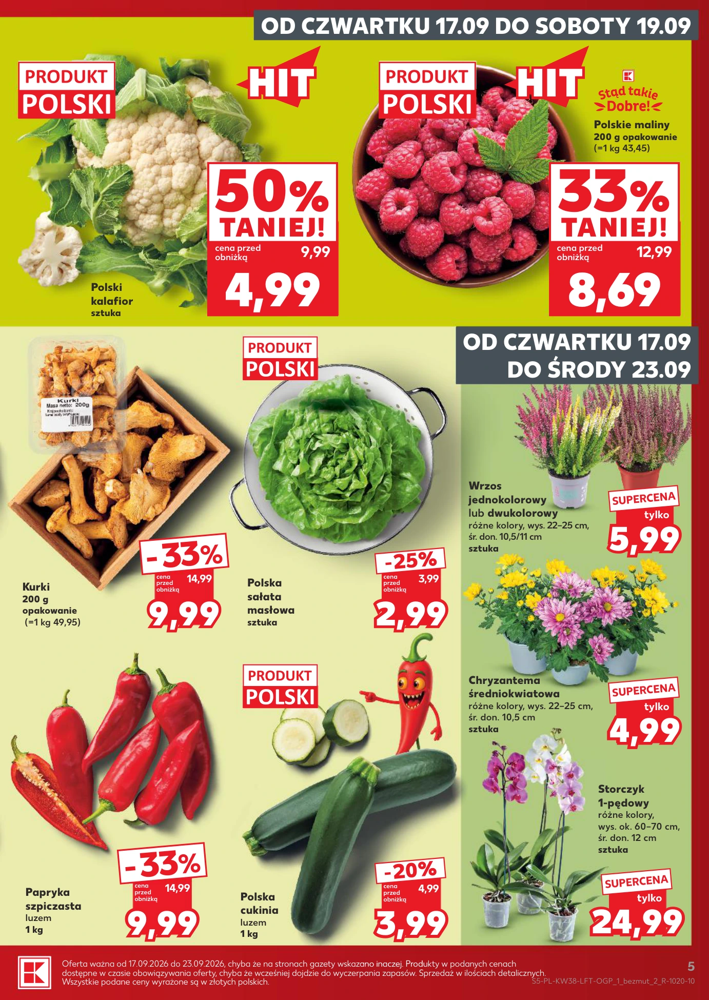 Flyer page 5