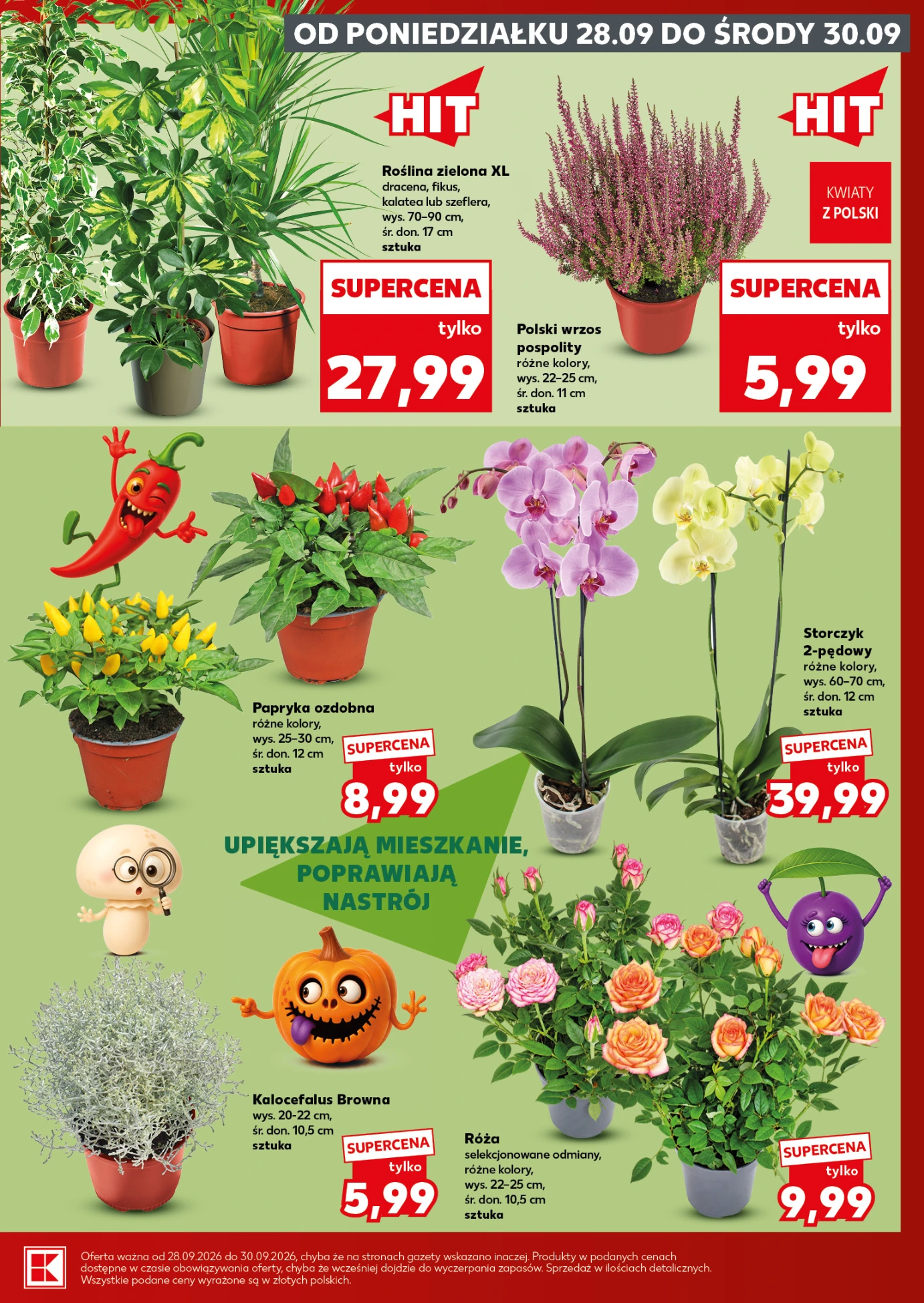 Flyer page 5
