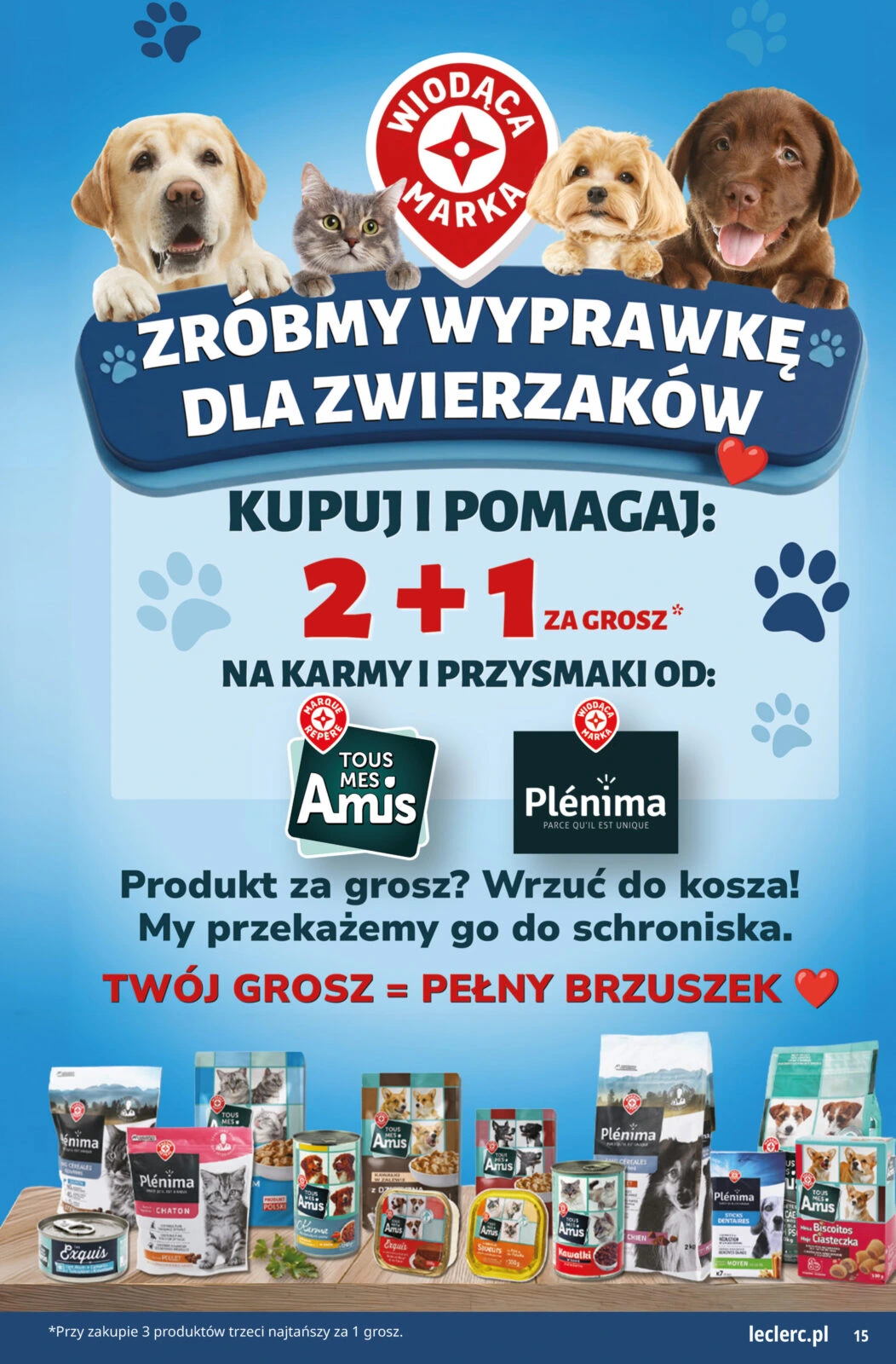 Flyer page 15