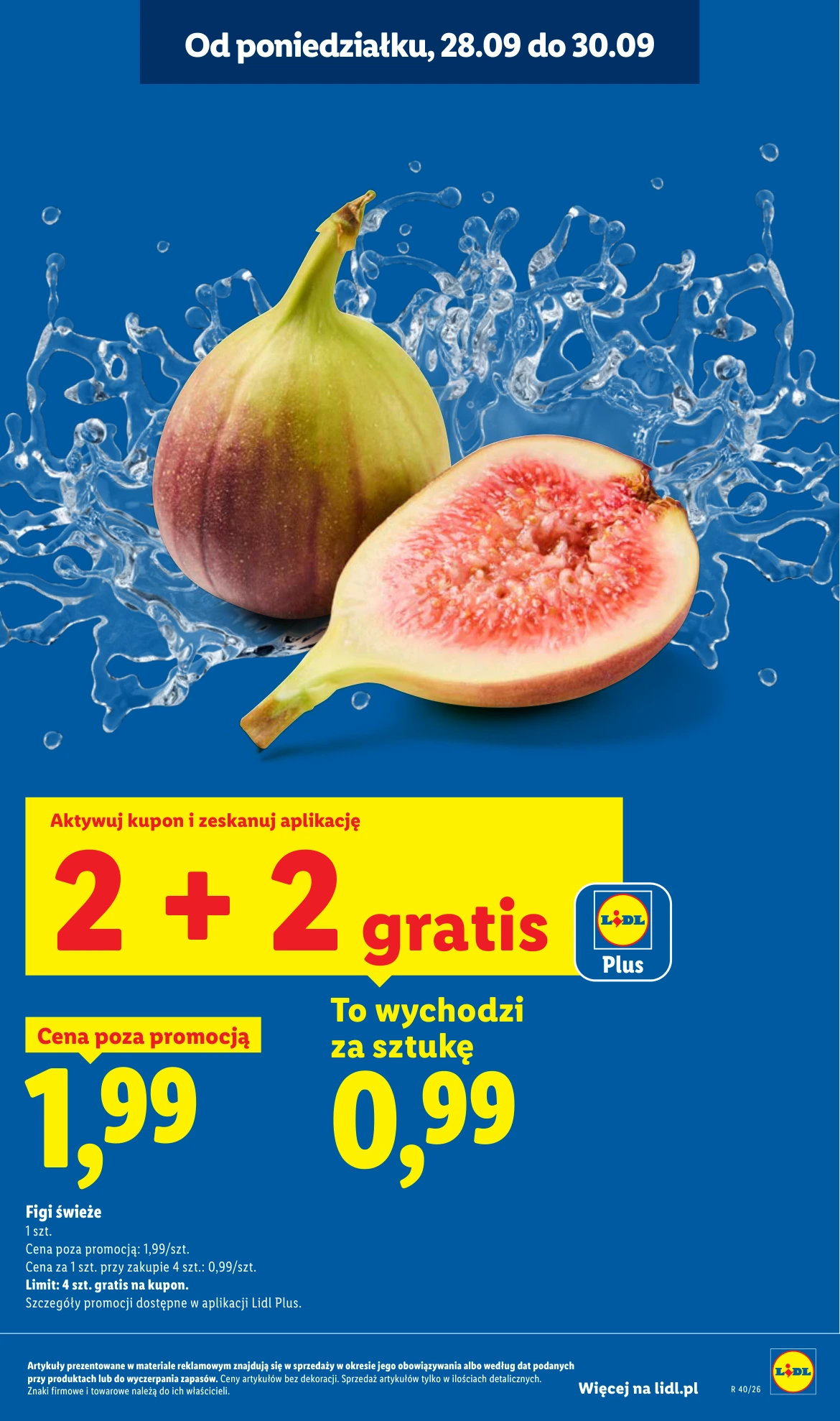 Flyer page 13