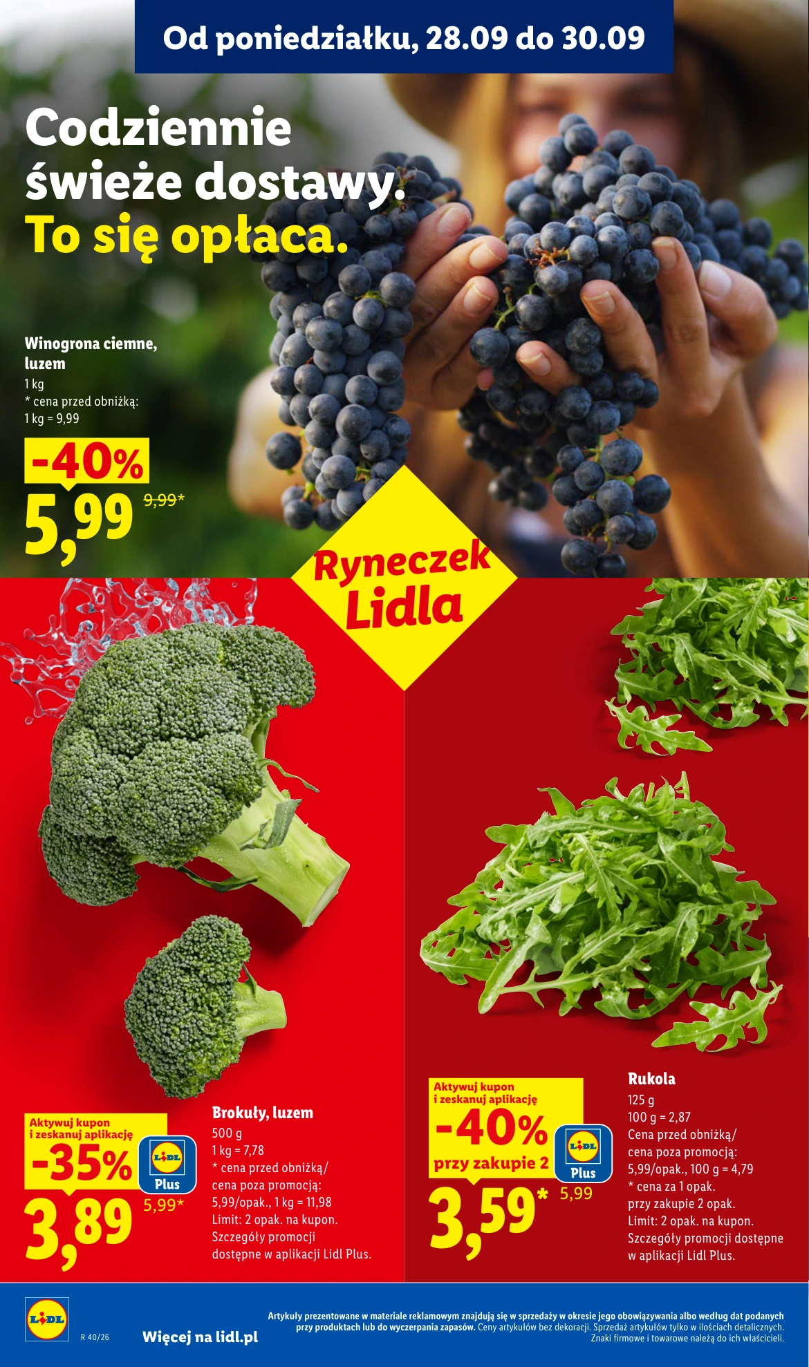 Flyer page 46