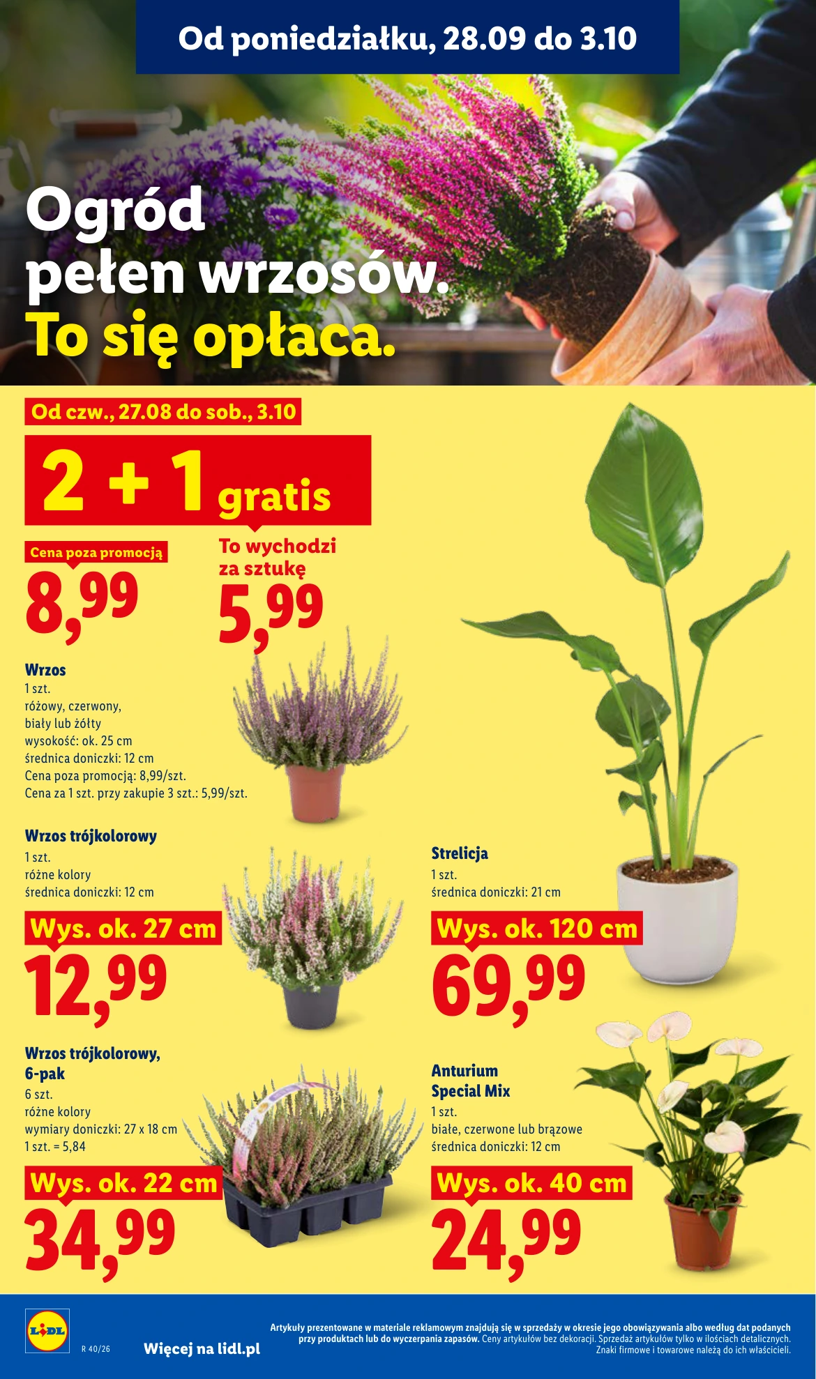 Flyer page 88
