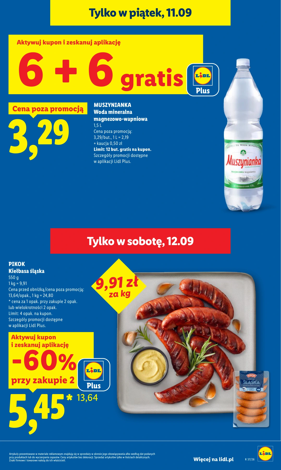 Flyer page 7