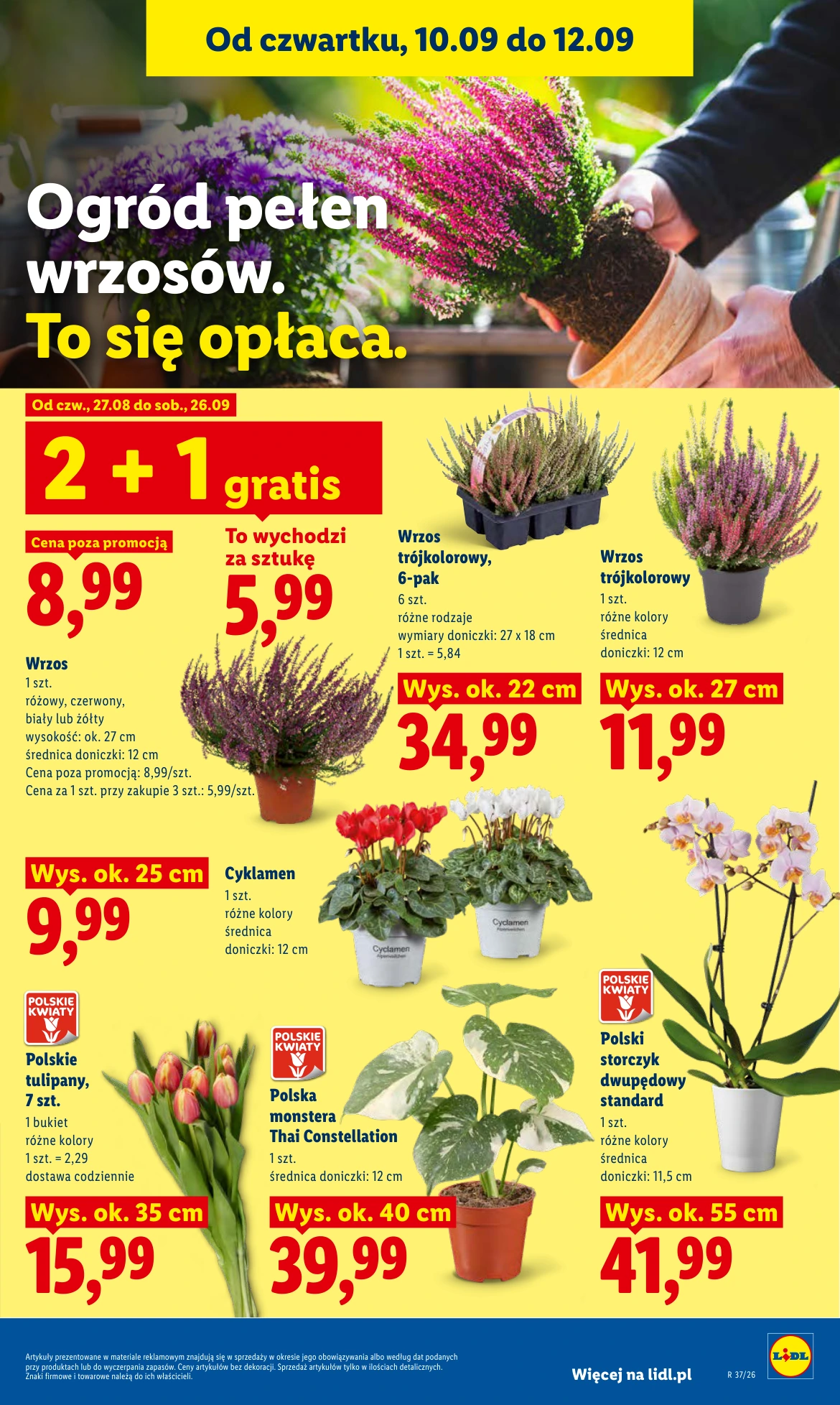 Flyer page 83