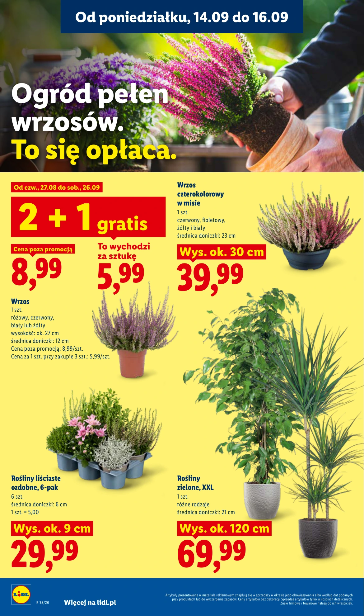 Flyer page 78