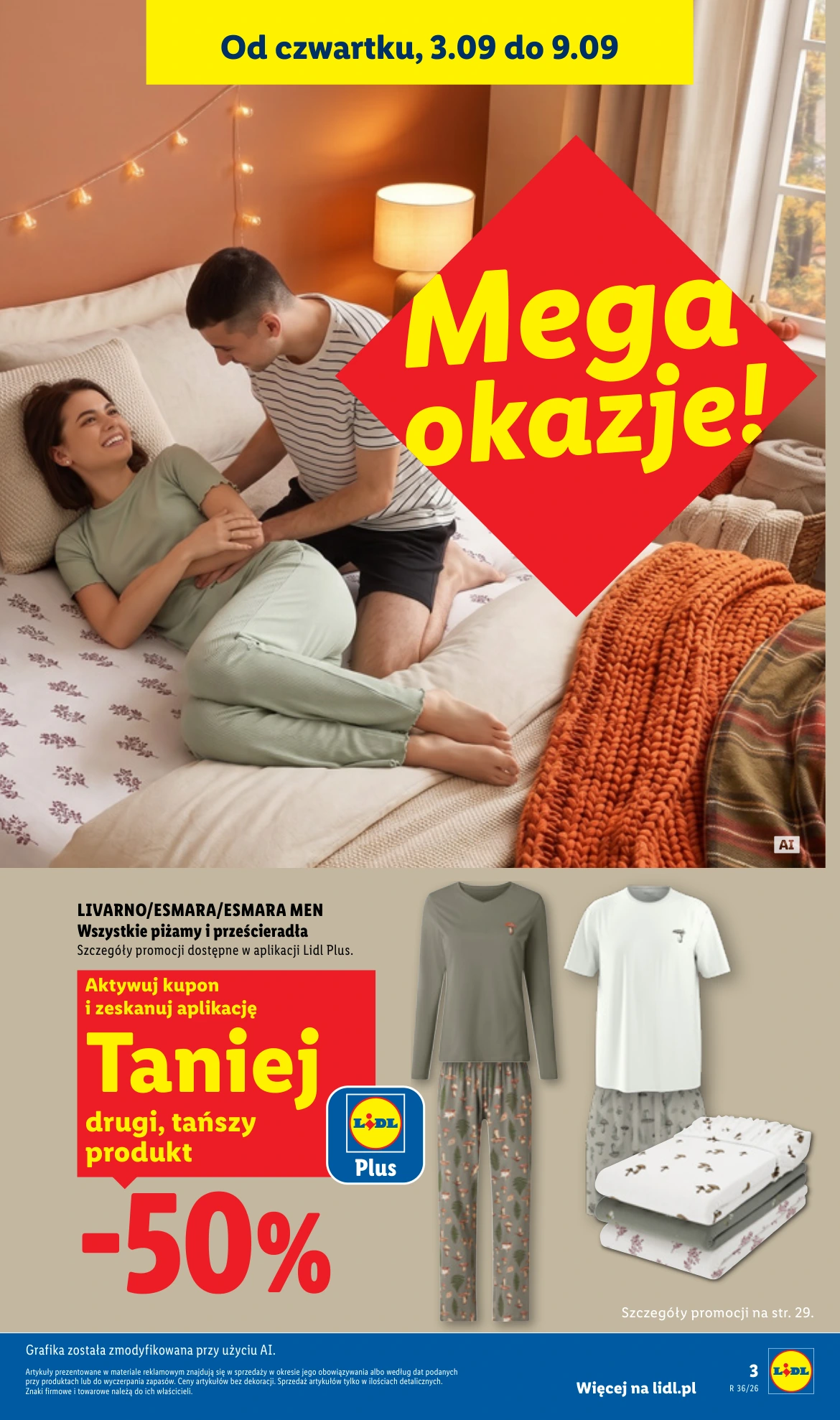 Flyer page 3