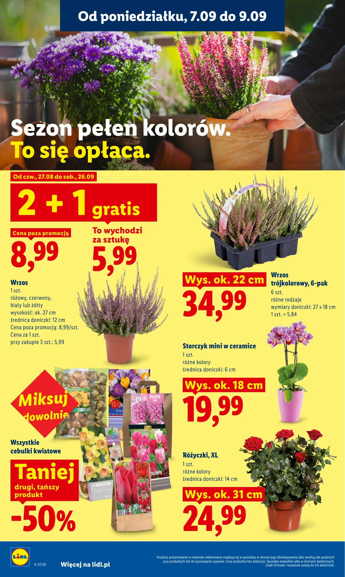 Flyer page 82