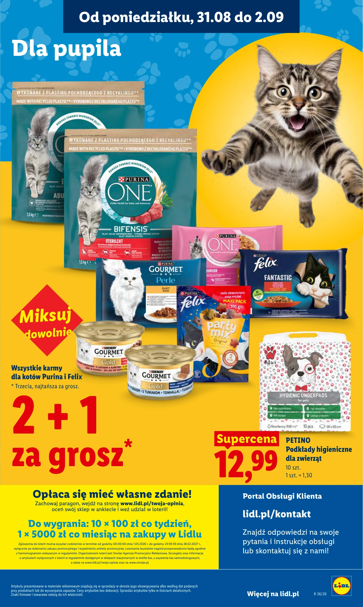 Flyer page 85