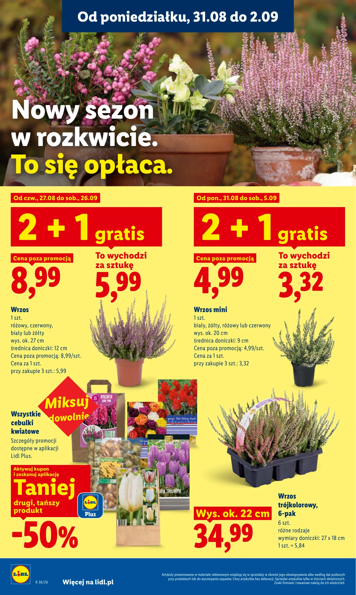 Flyer page 86