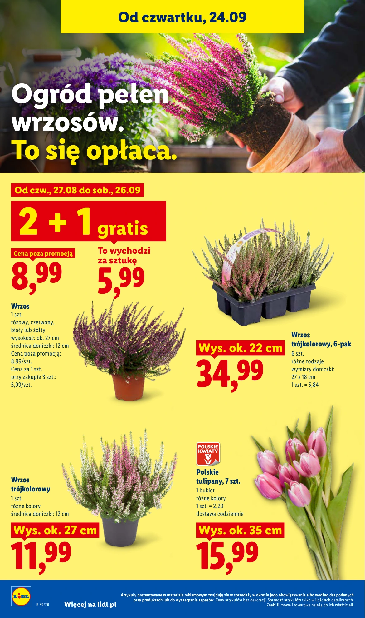 Flyer page 100