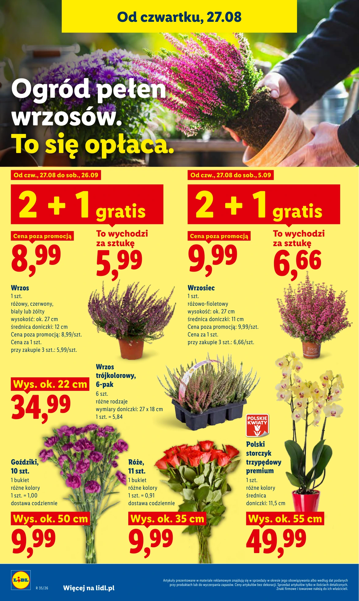 Flyer page 86