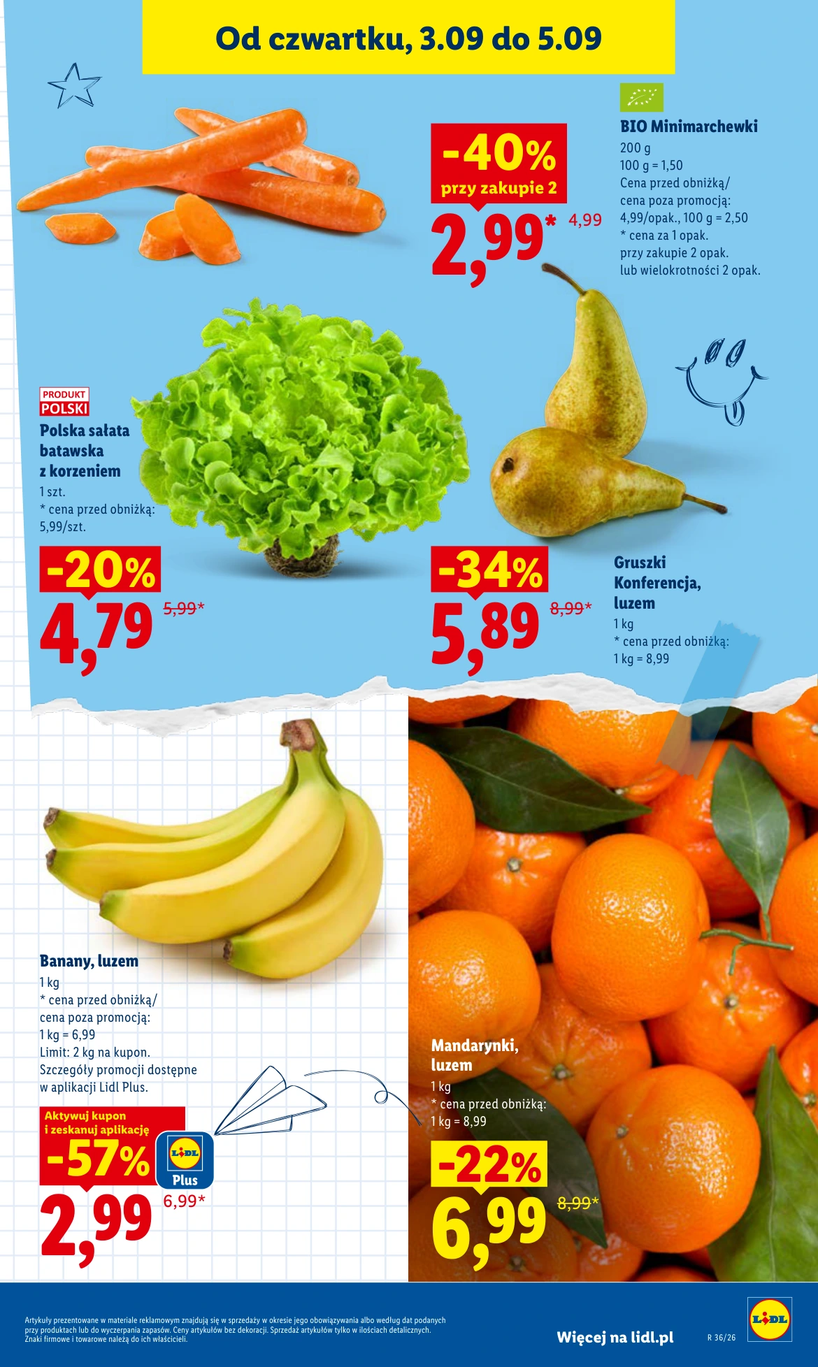 Flyer page 45