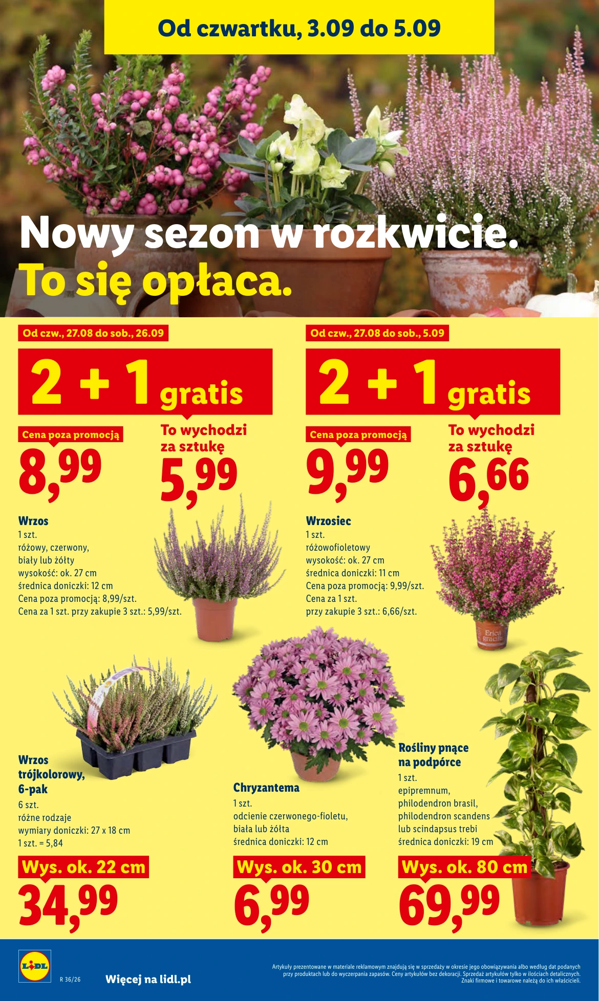 Flyer page 90