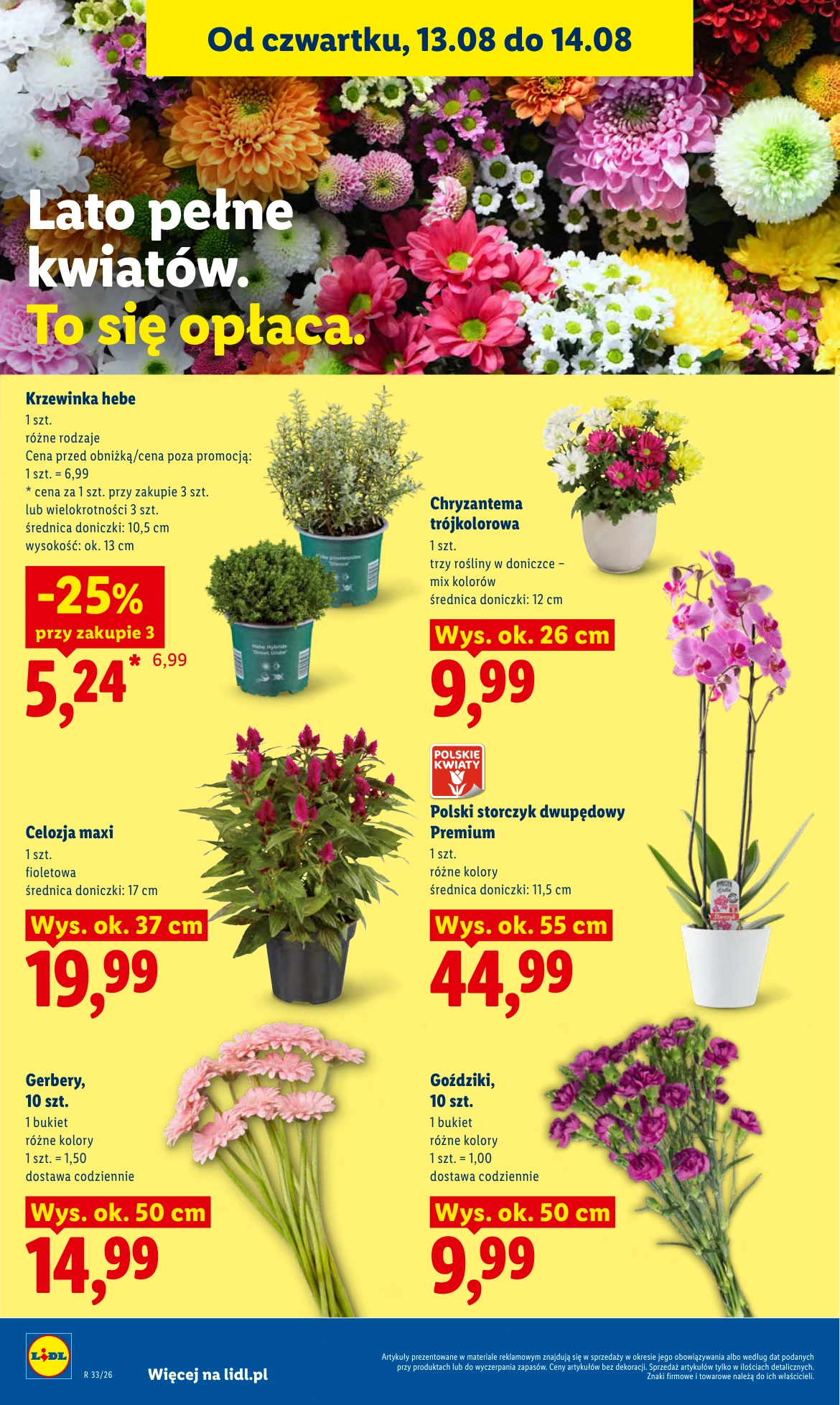 Flyer page 88