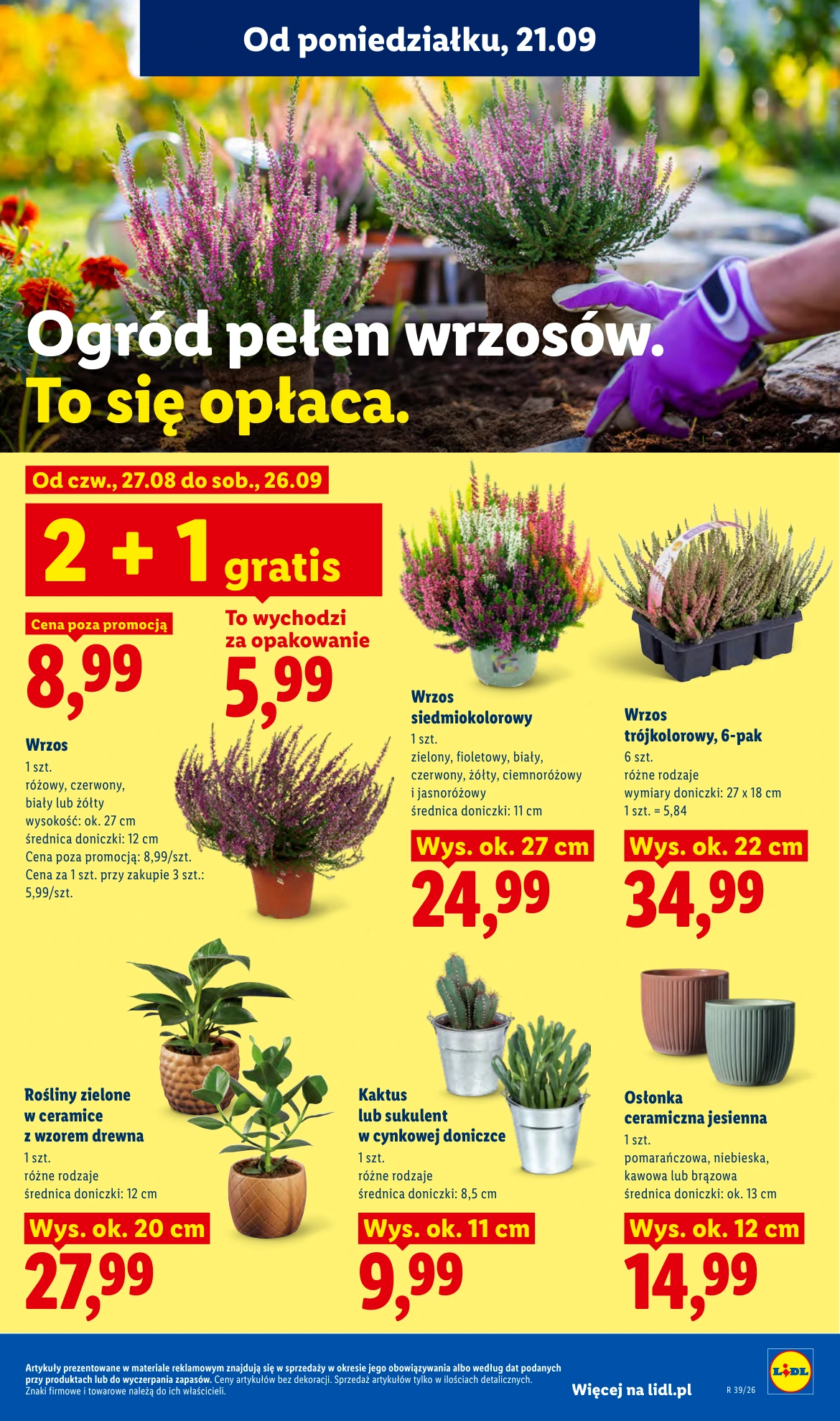 Flyer page 91