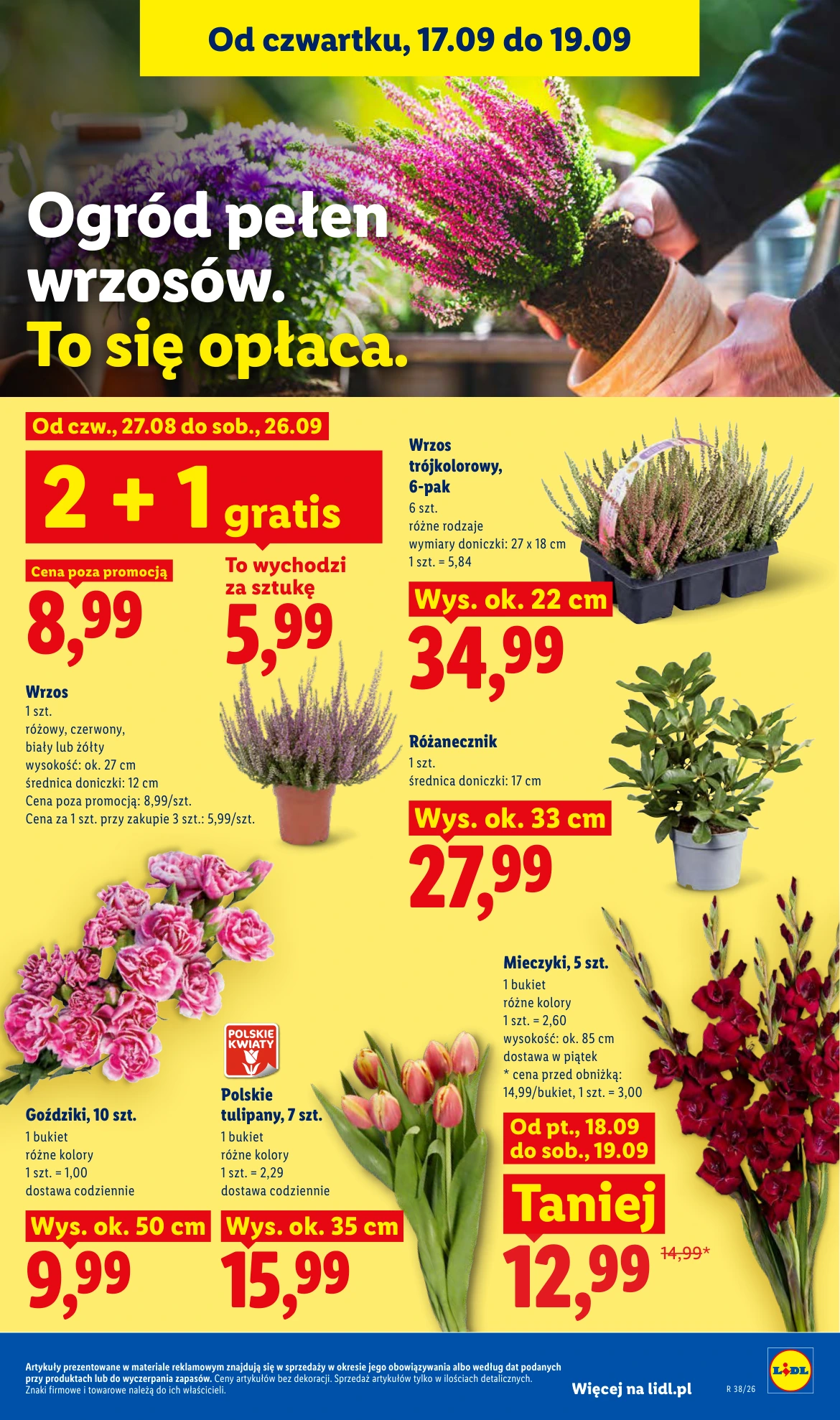 Flyer page 85