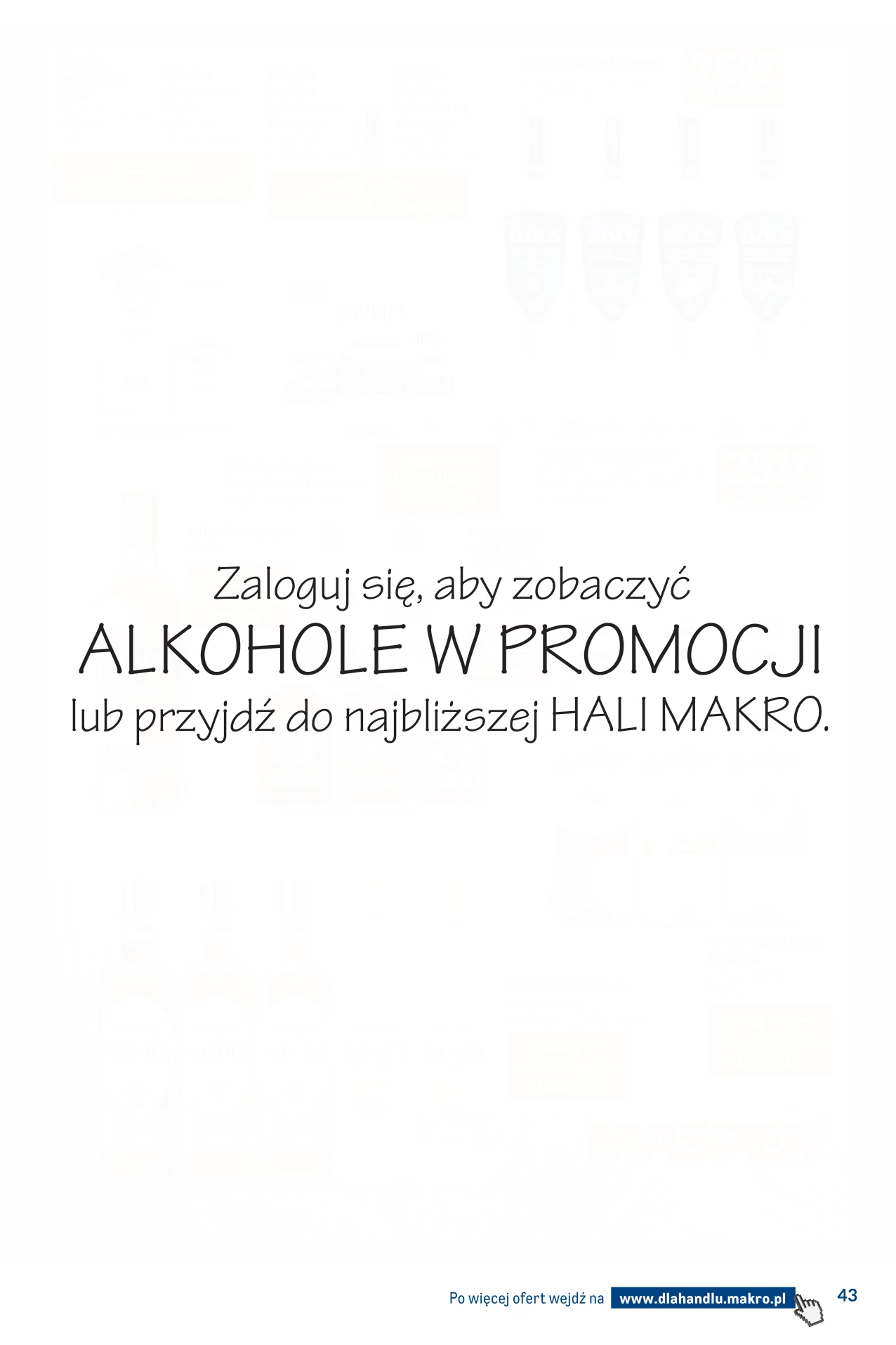 Flyer page 43