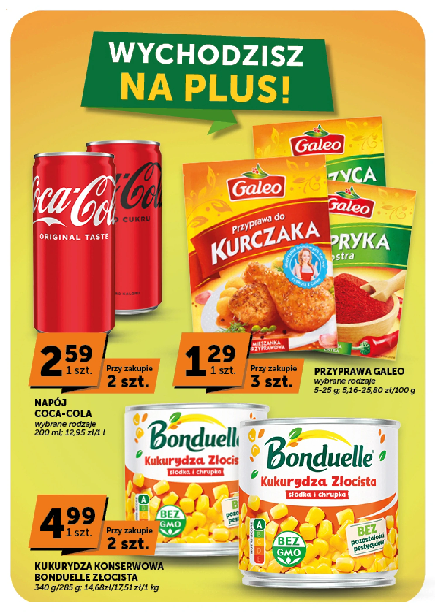 Flyer page 7