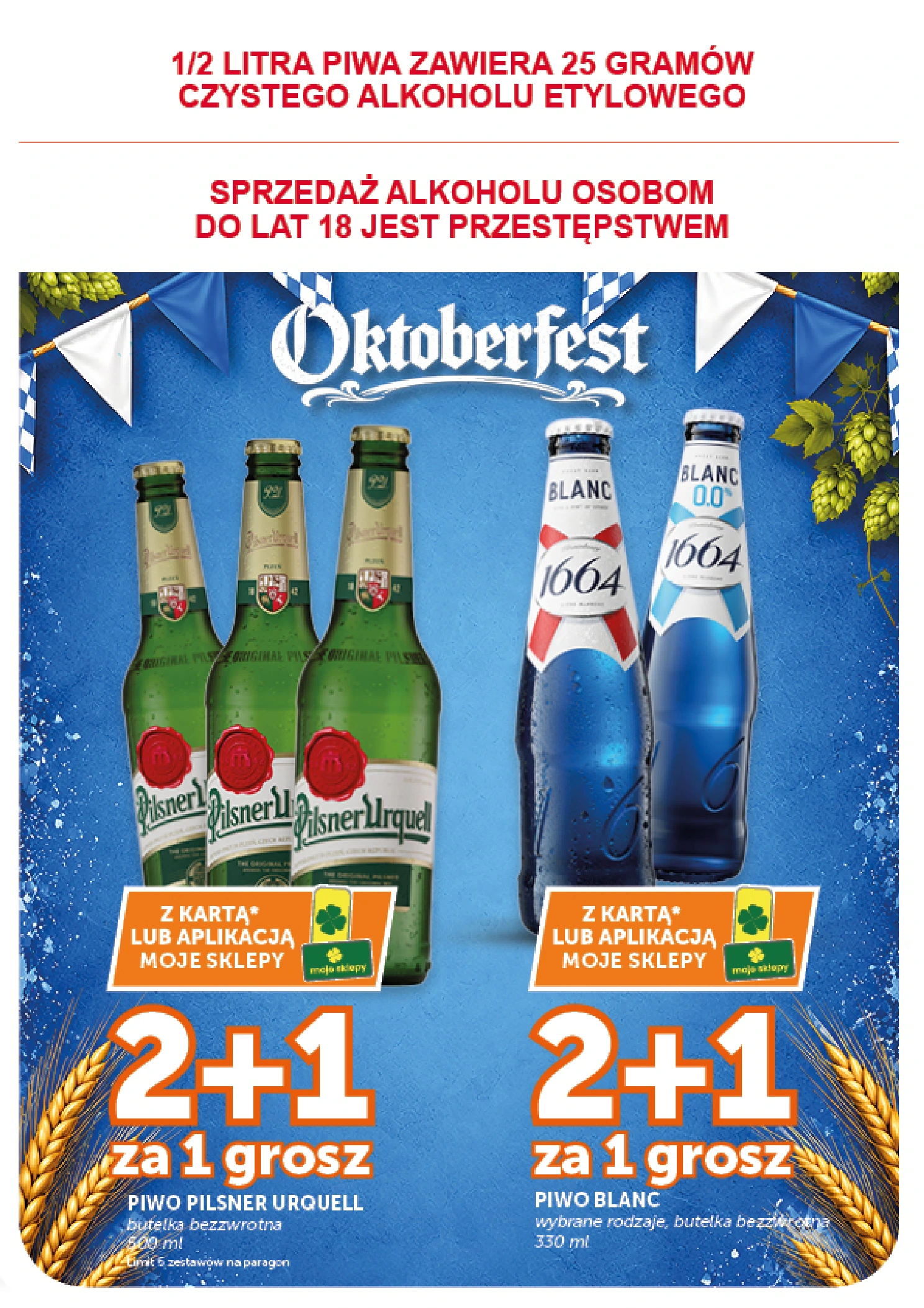 Flyer page 7