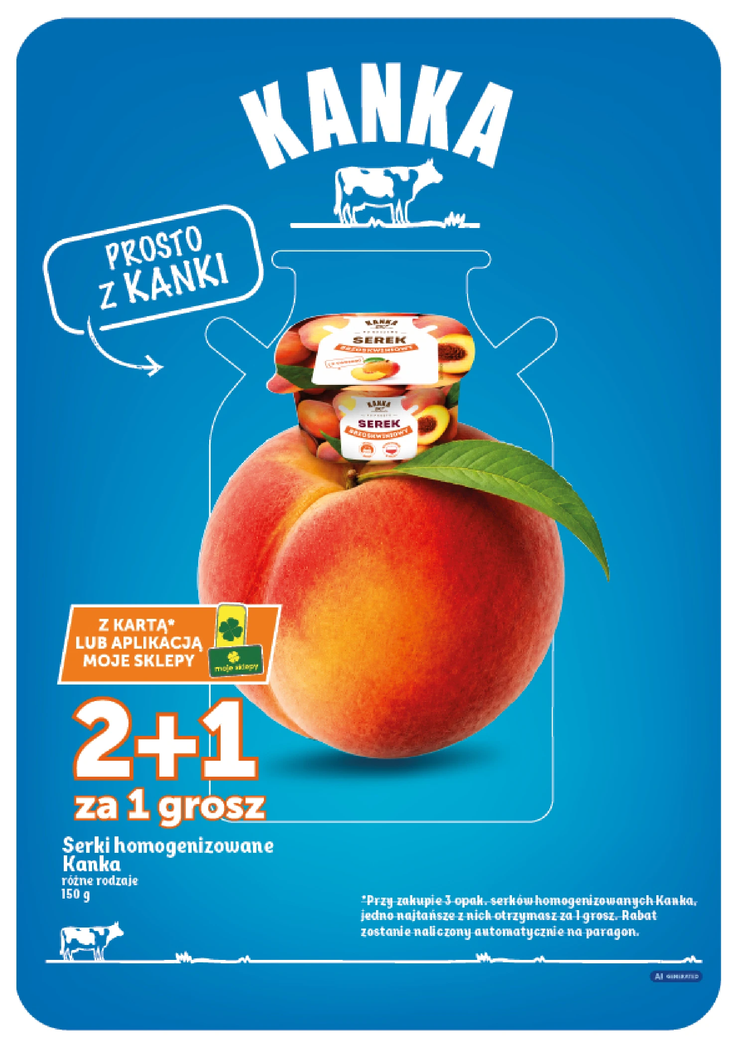Flyer page 10