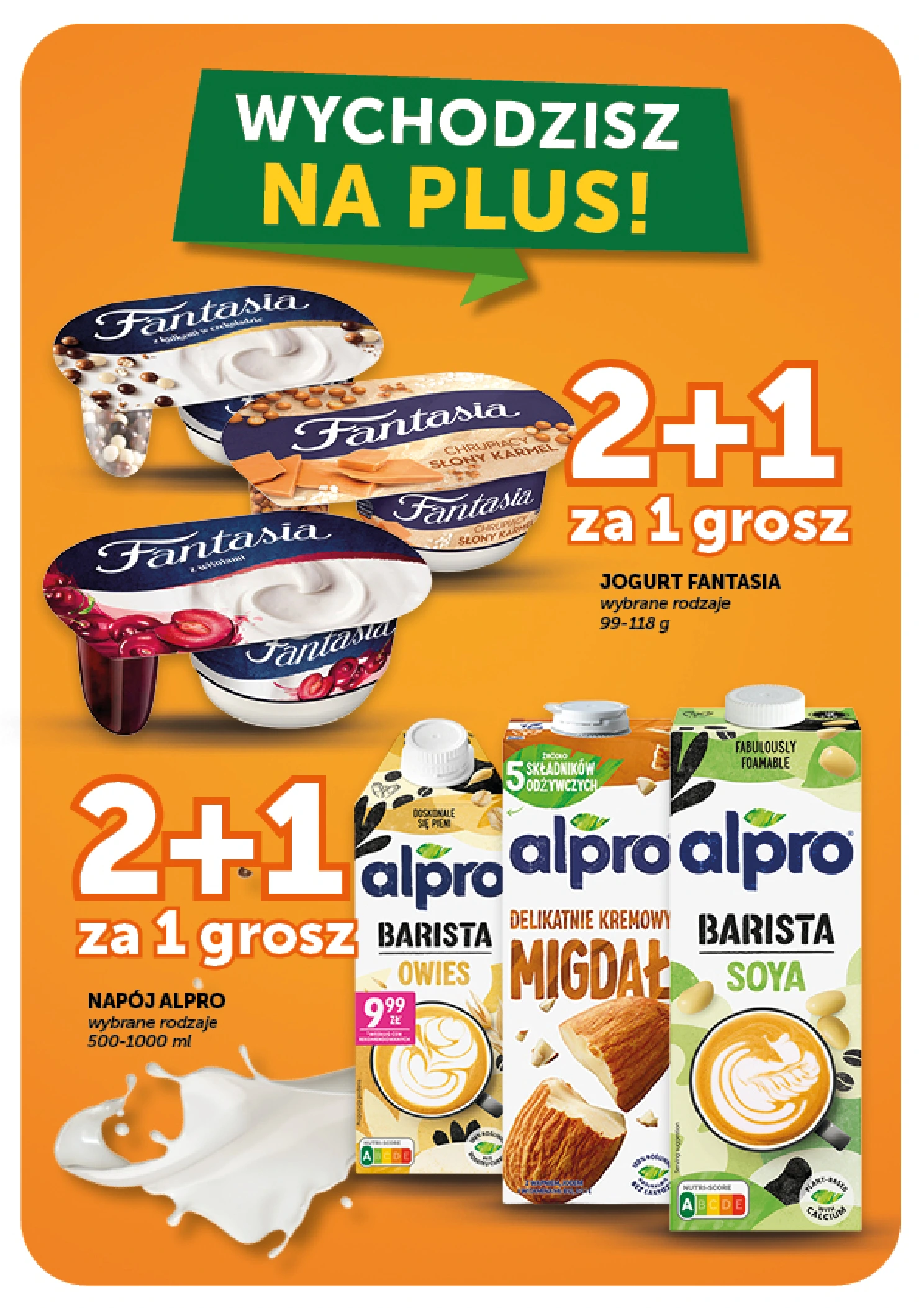 Flyer page 10