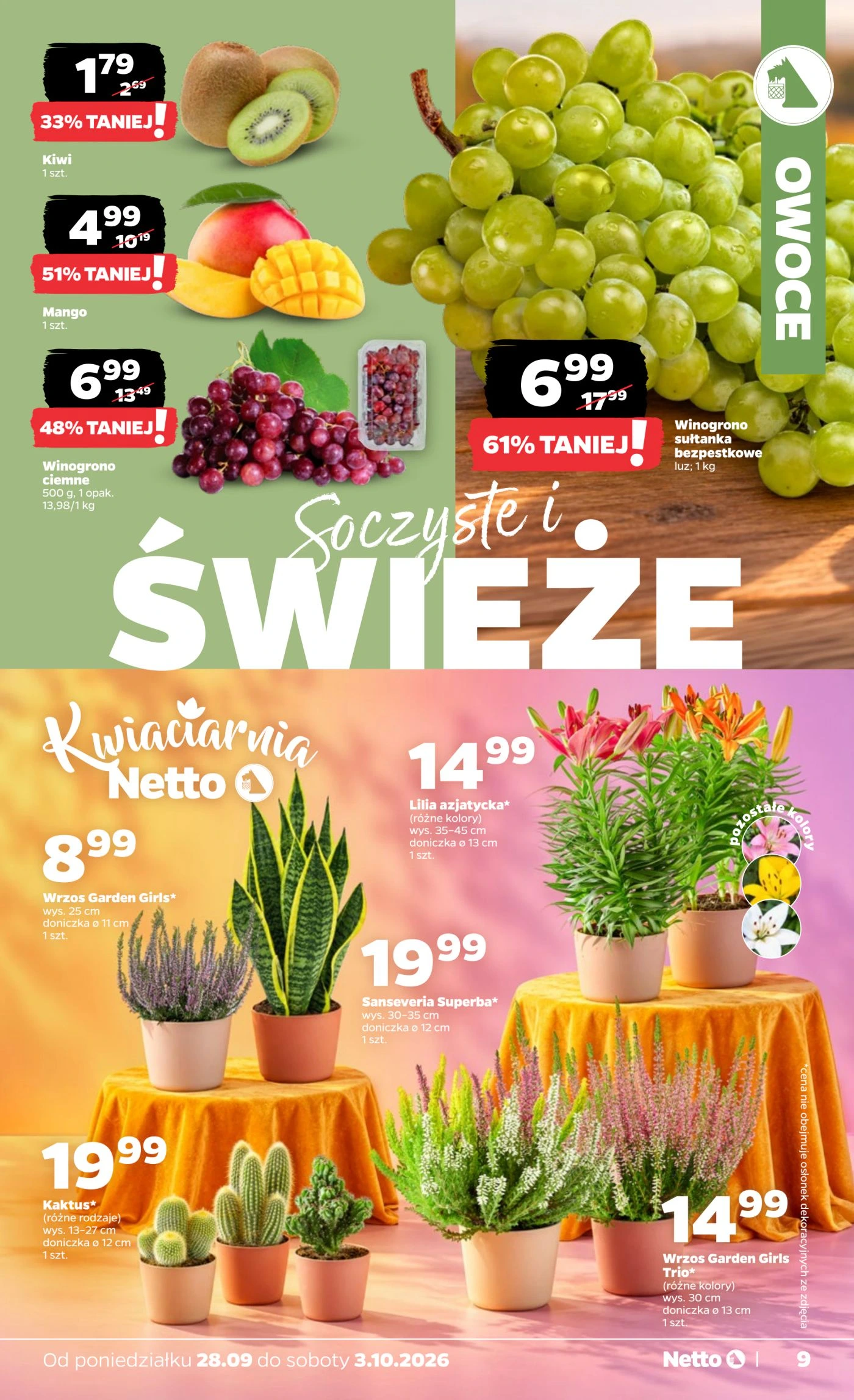 Flyer page 9