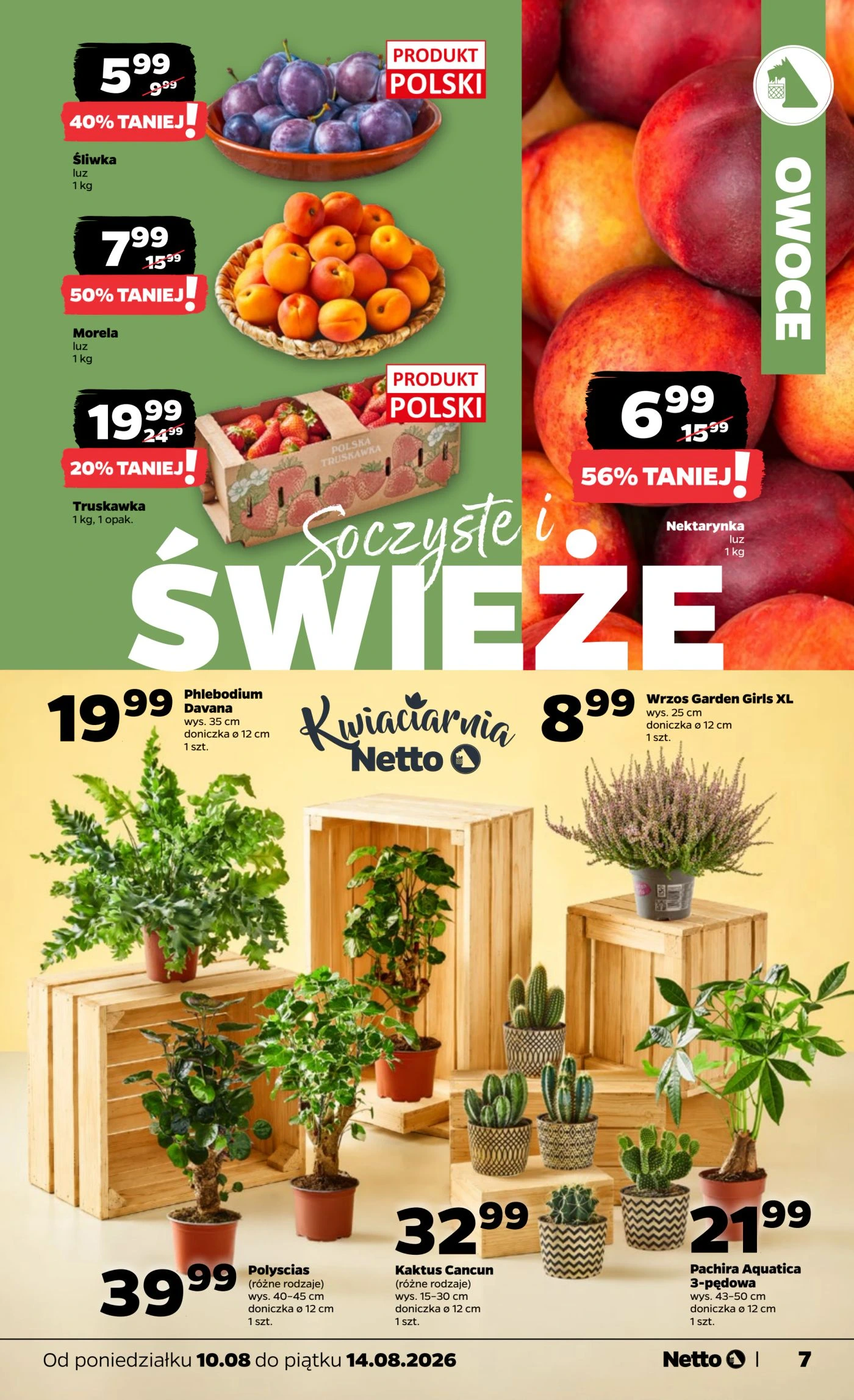 Flyer page 7
