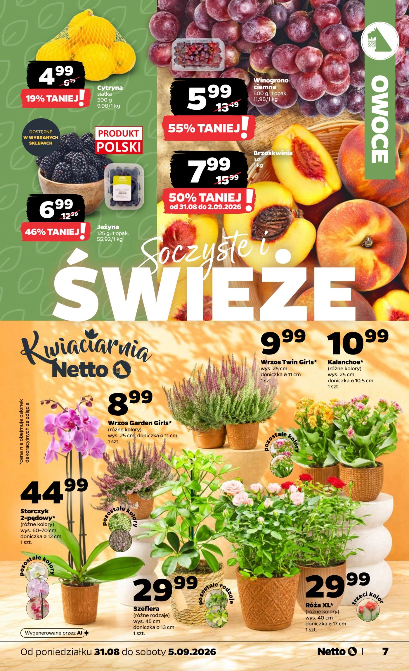 Flyer page 7