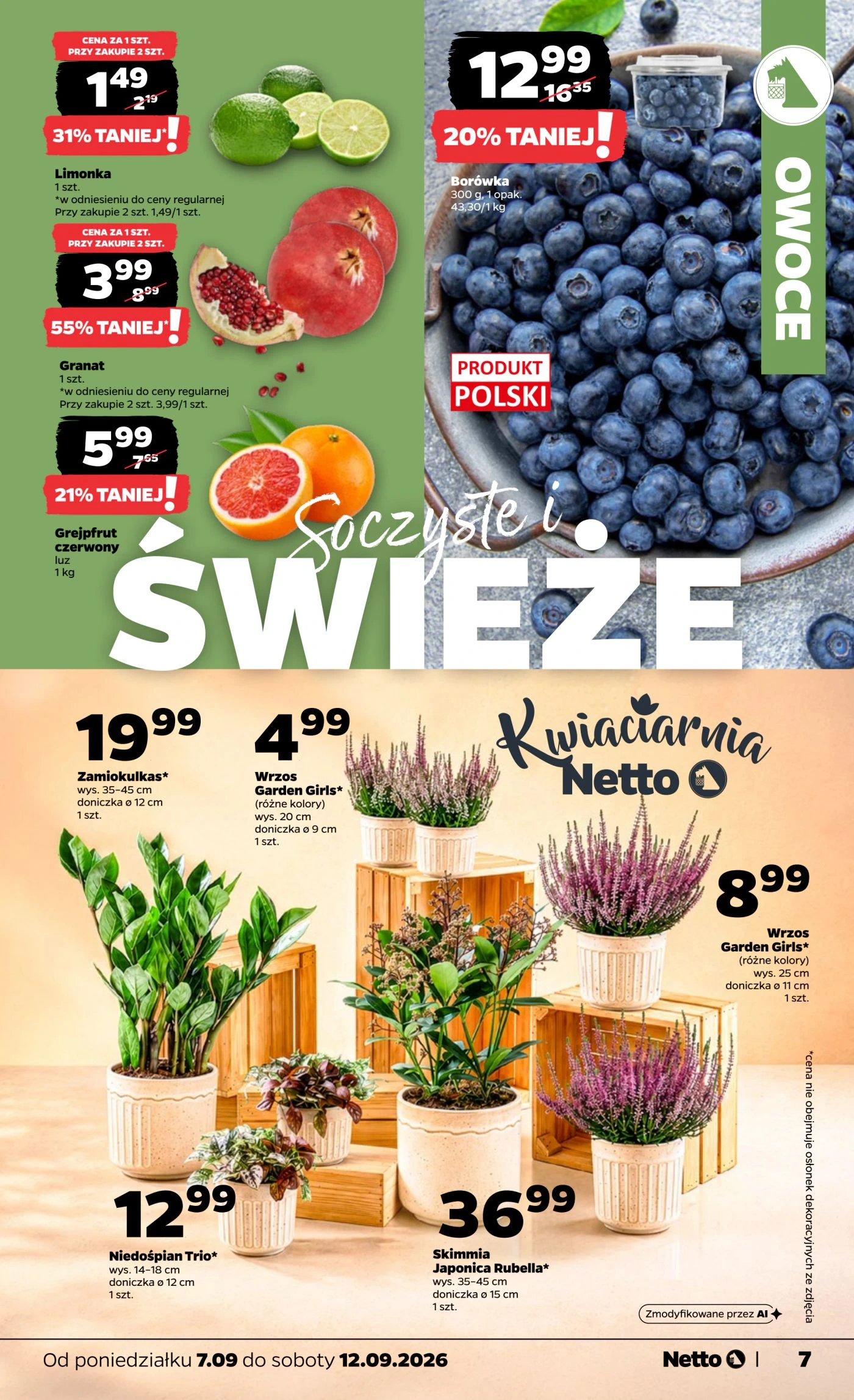 Flyer page 7