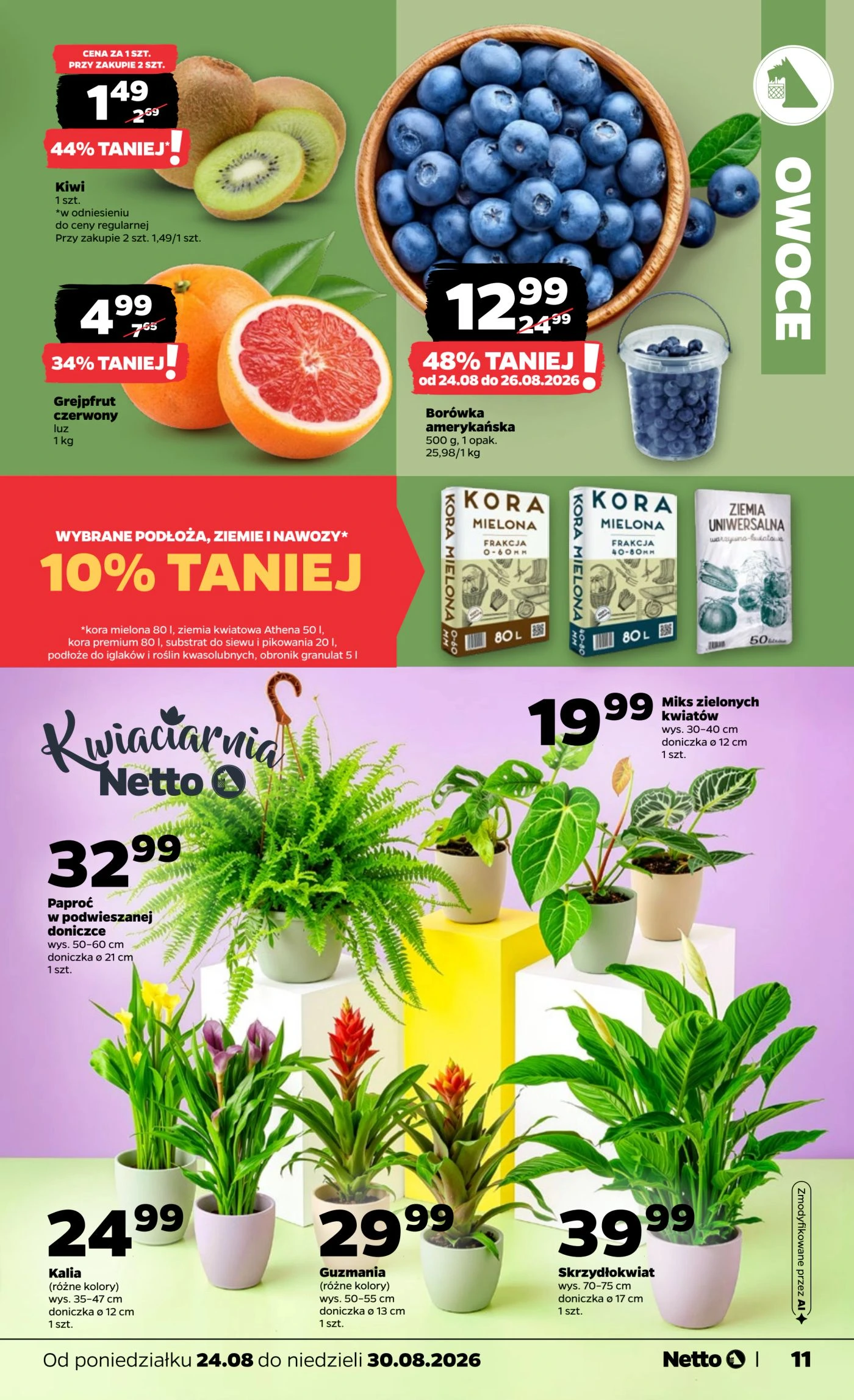 Flyer page 11