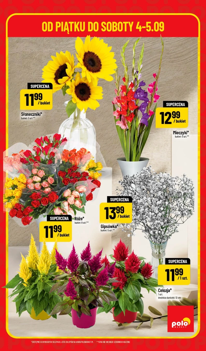Flyer page 5