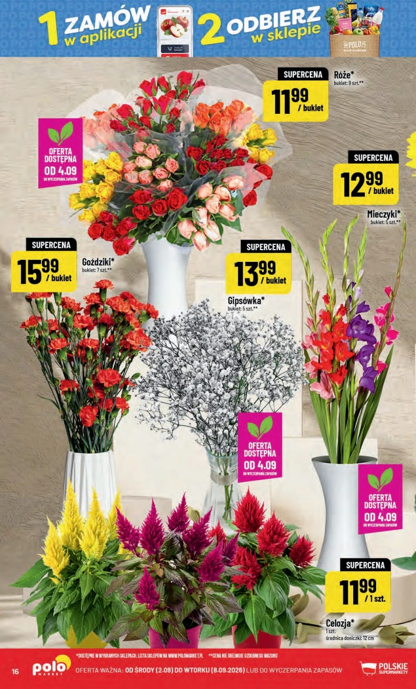 Flyer page 16