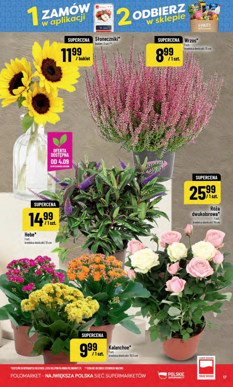 Flyer page 17