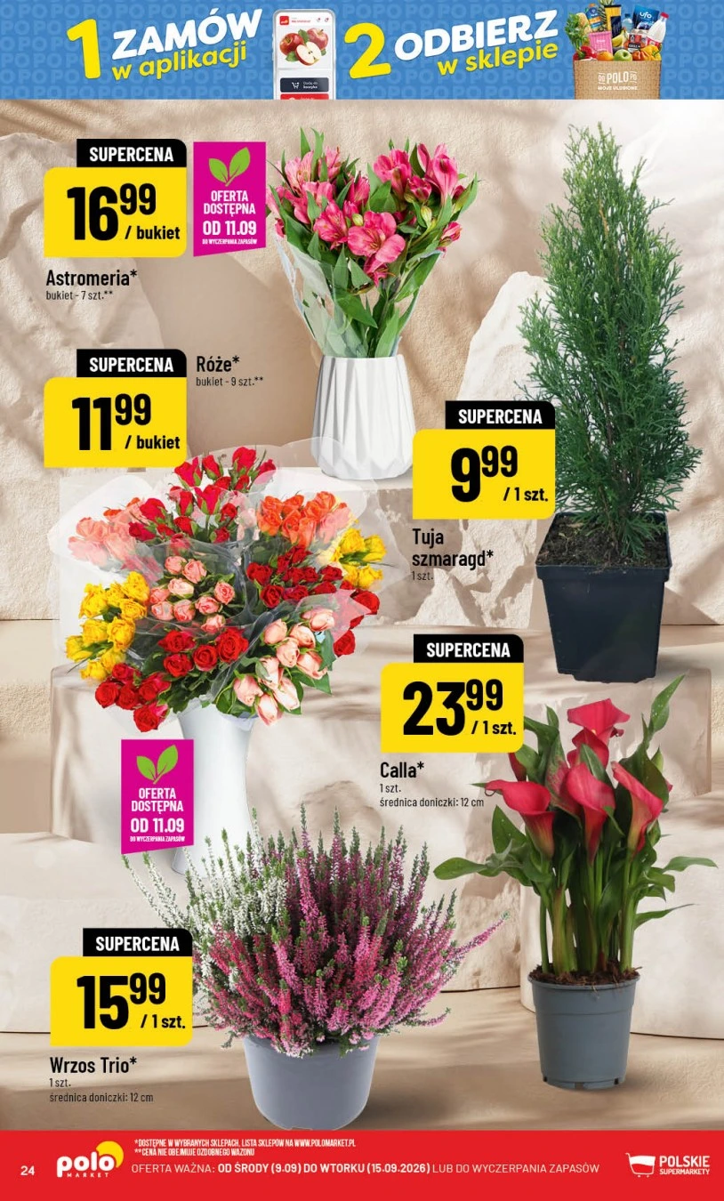 Flyer page 24