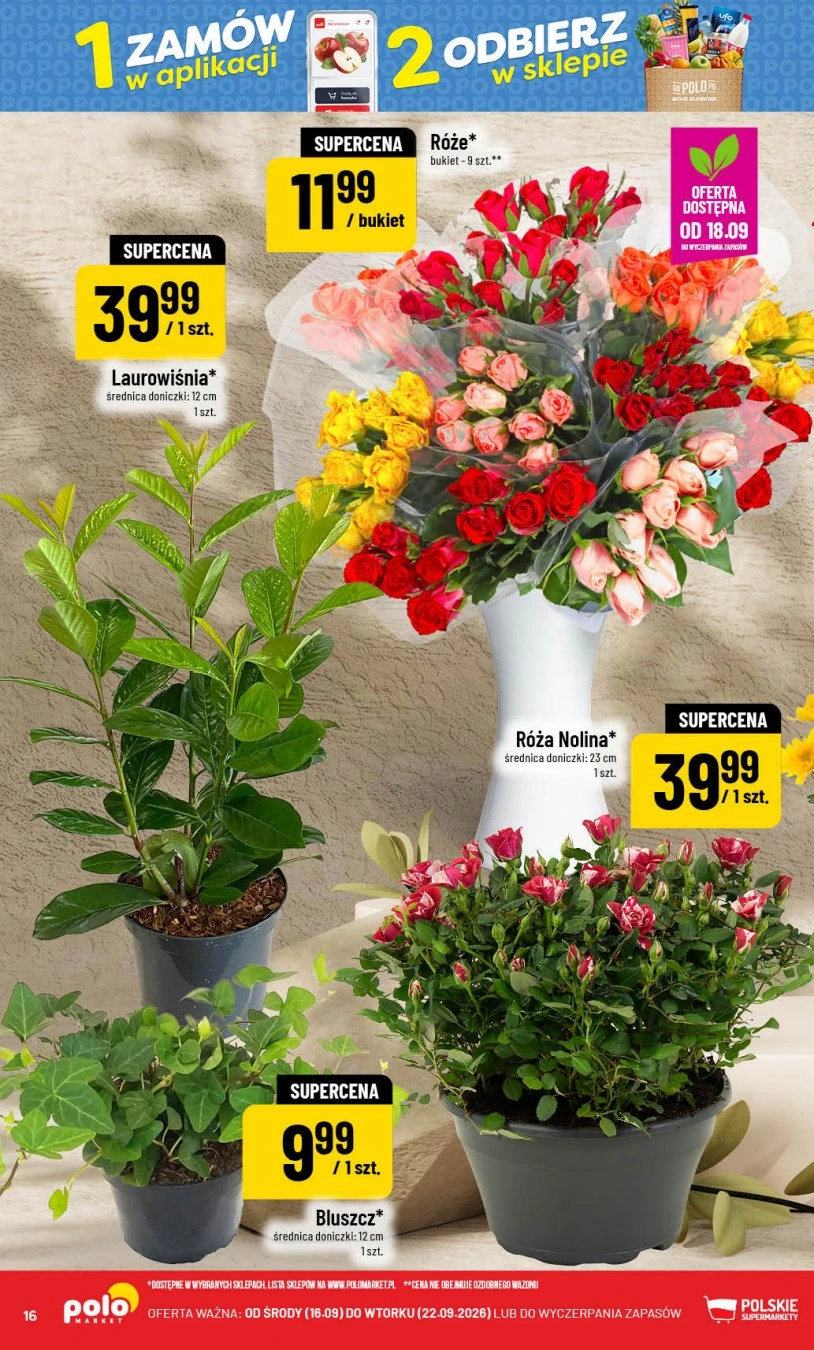 Flyer page 16