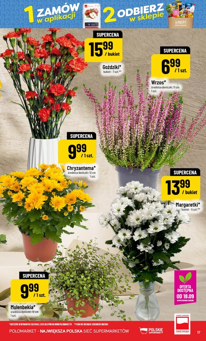 Flyer page 17