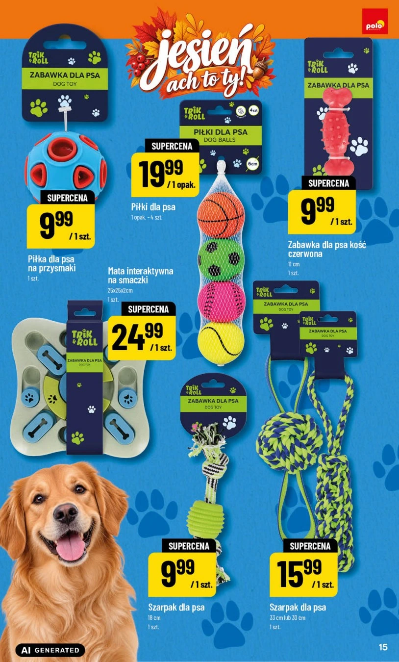 Flyer page 15