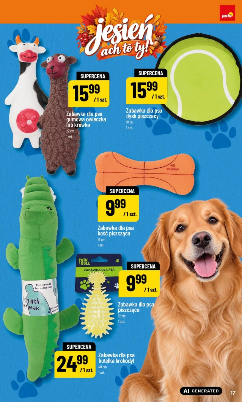 Flyer page 17