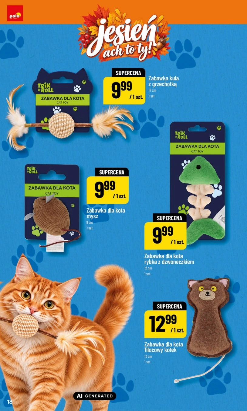 Flyer page 18