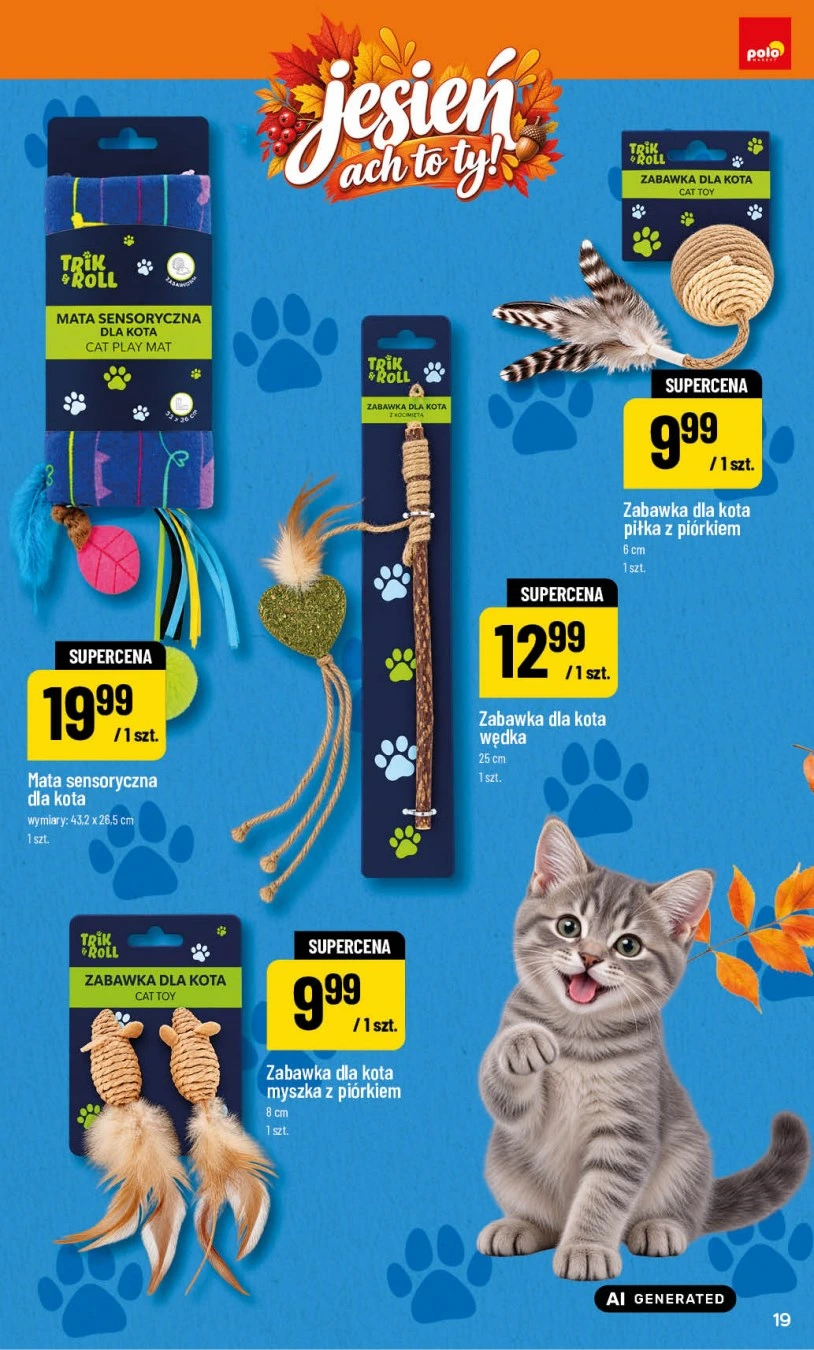 Flyer page 19