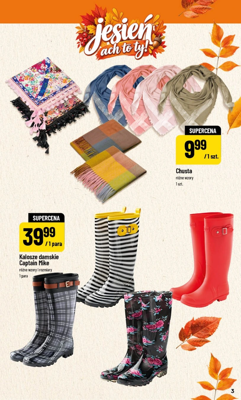 Flyer page 3