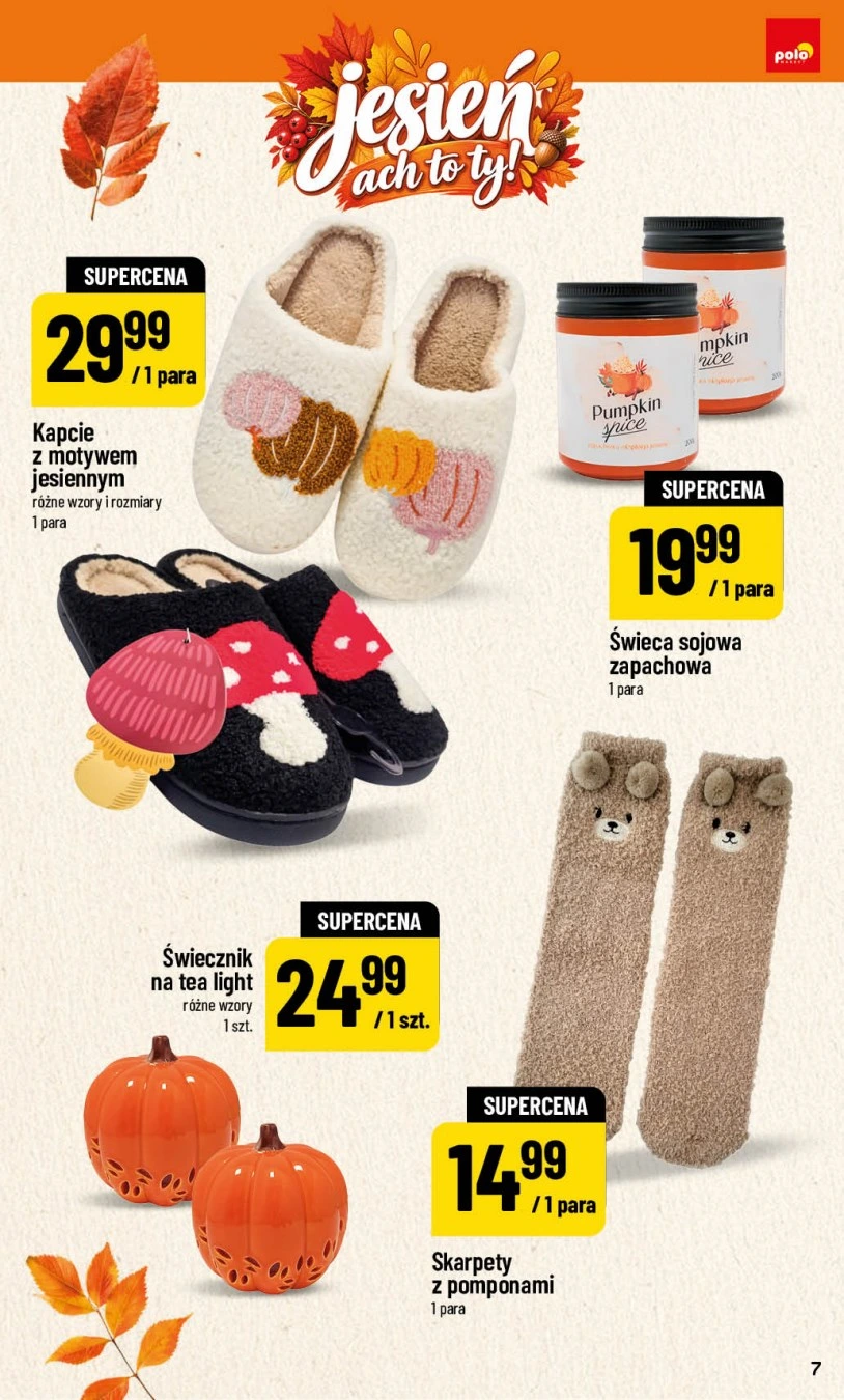 Flyer page 7