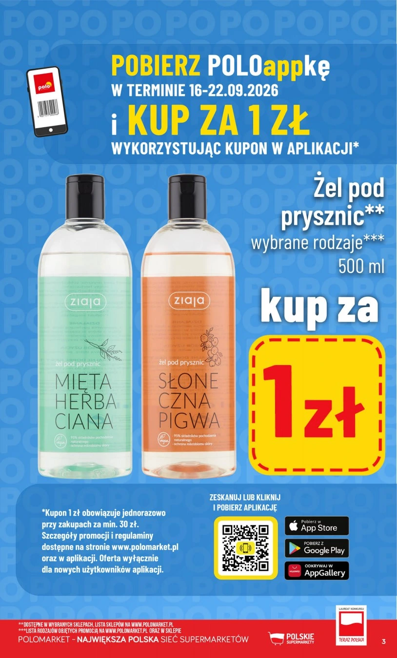 Flyer page 3