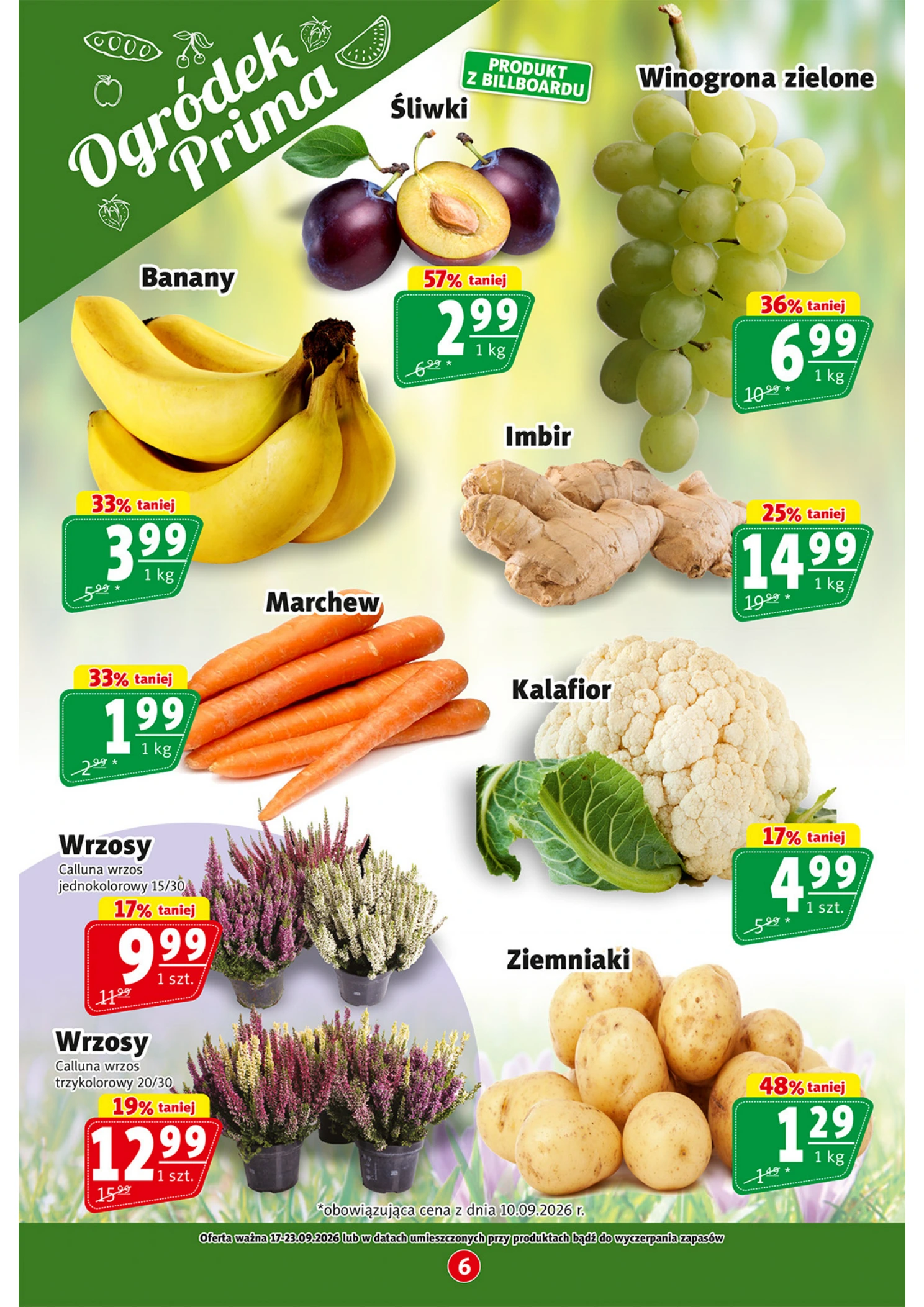 Flyer page 6