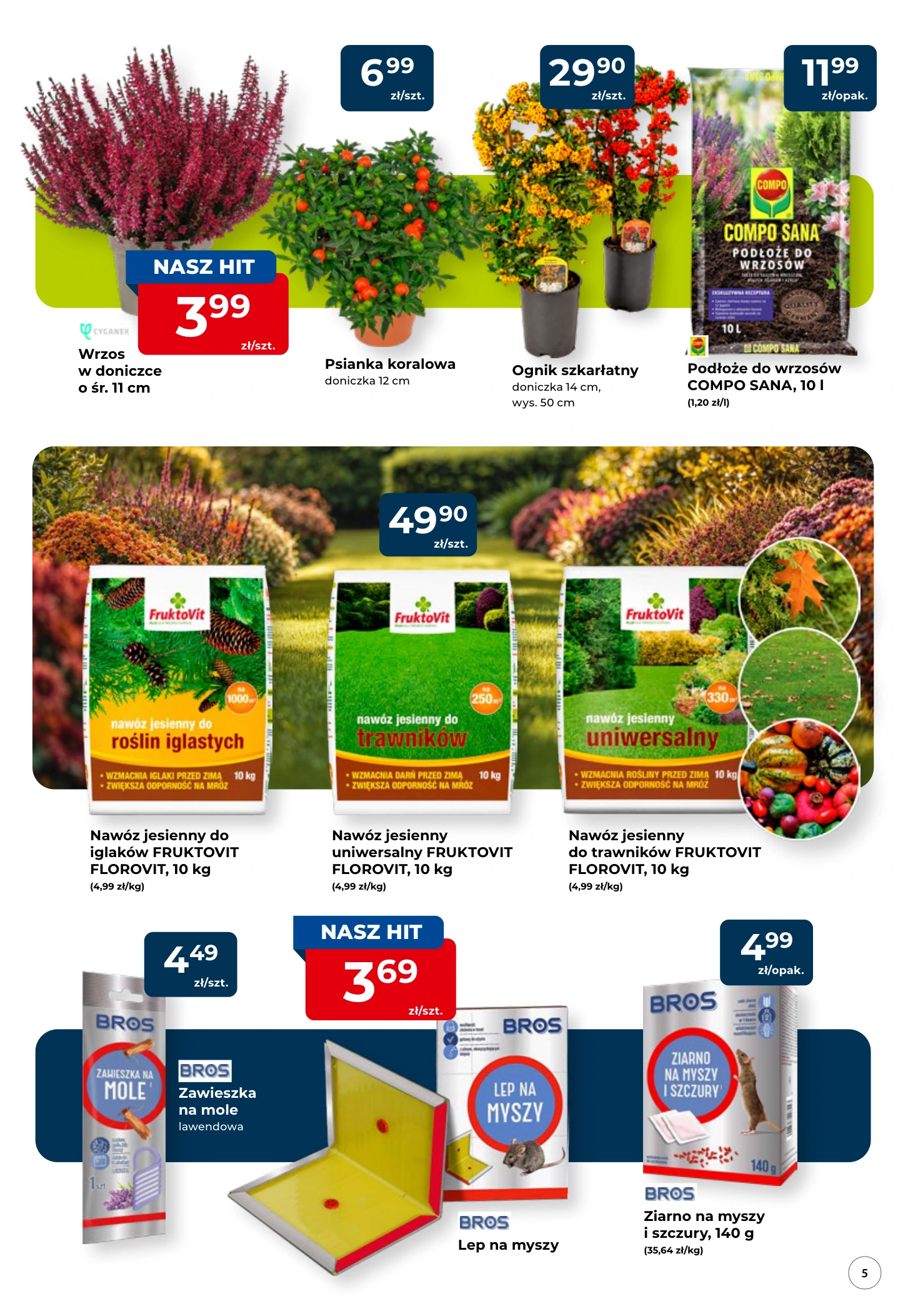 Flyer page 5