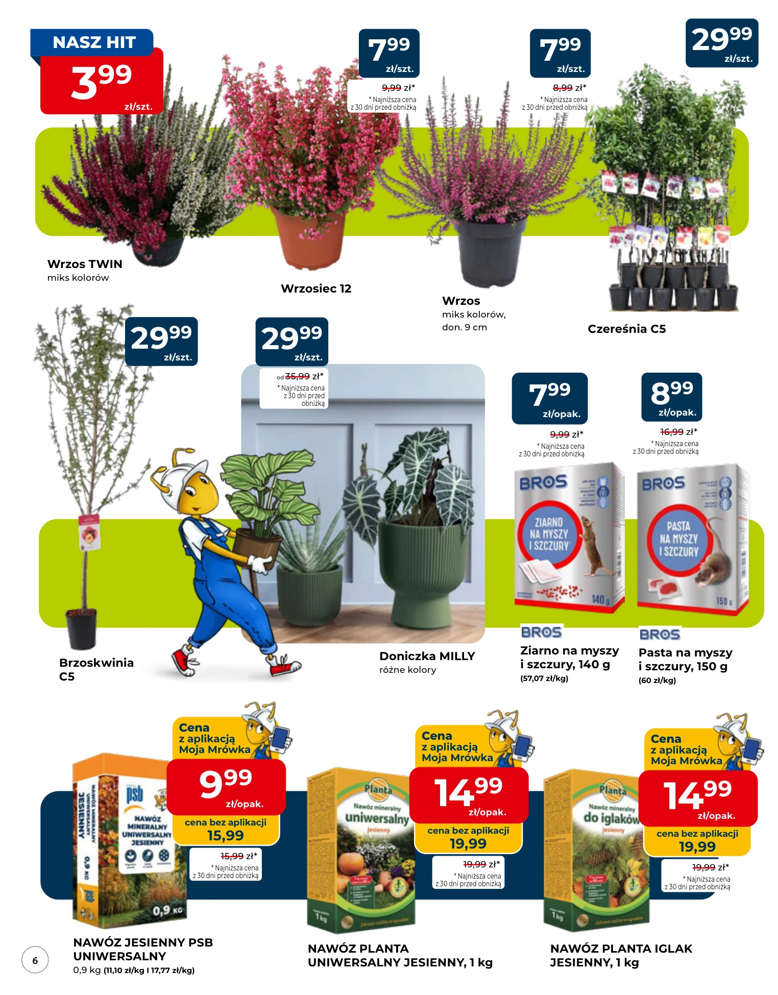 Flyer page 6