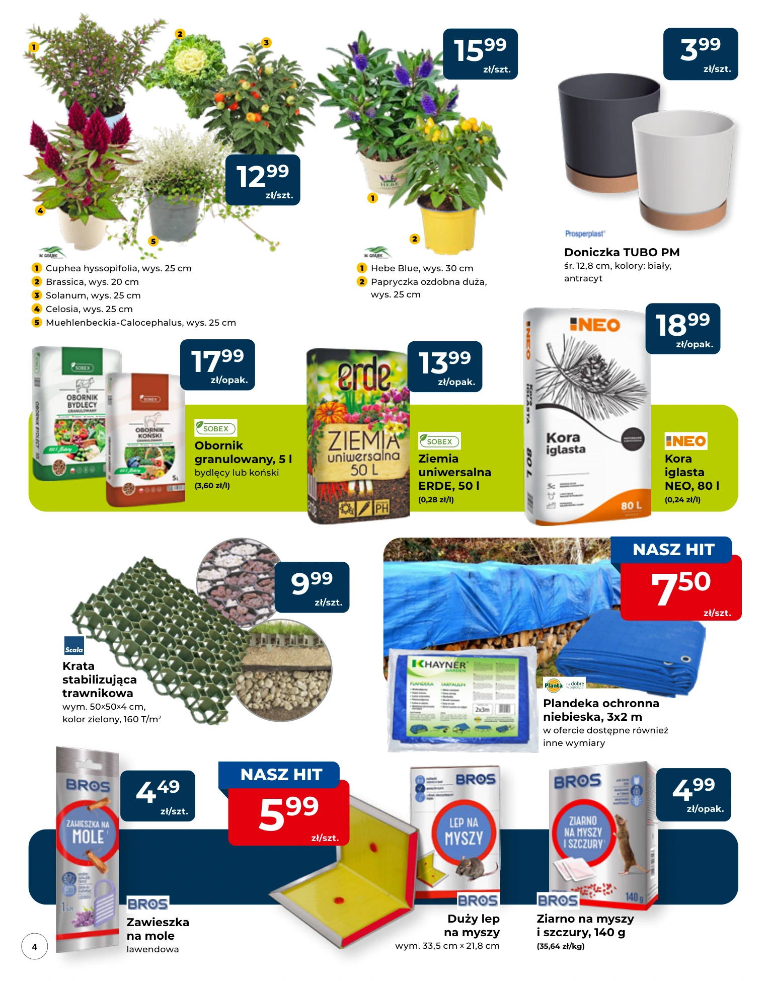 Flyer page 4