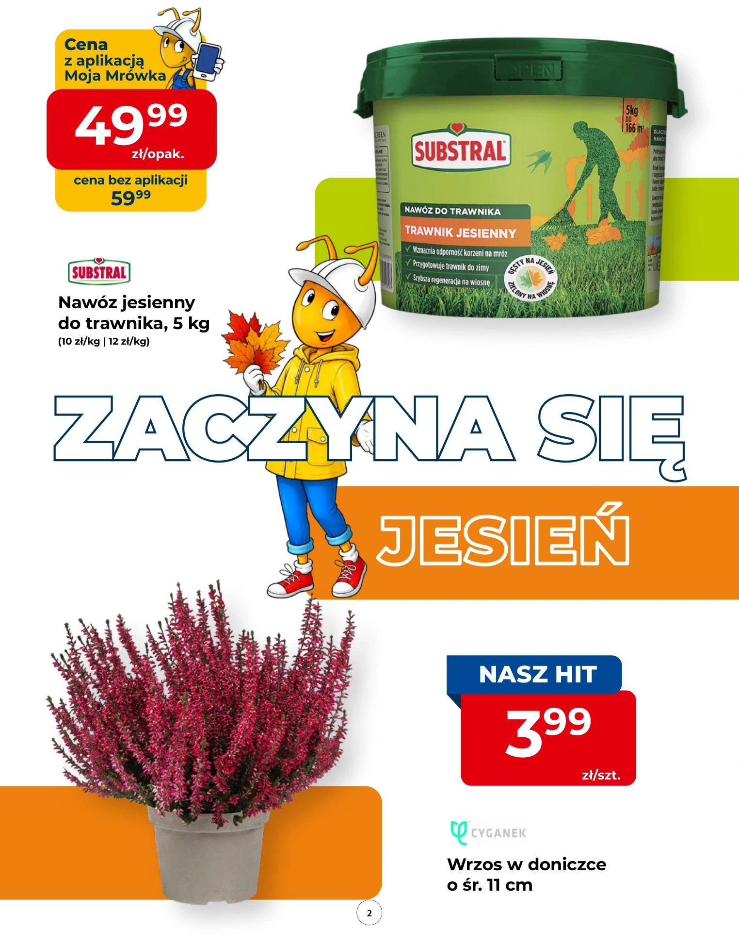 Flyer page 2