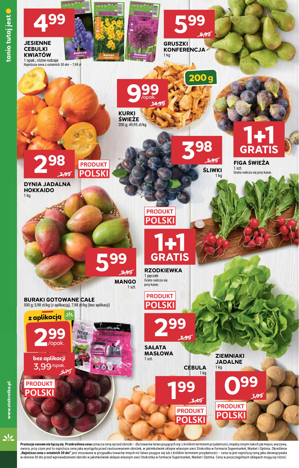 Flyer page 10
