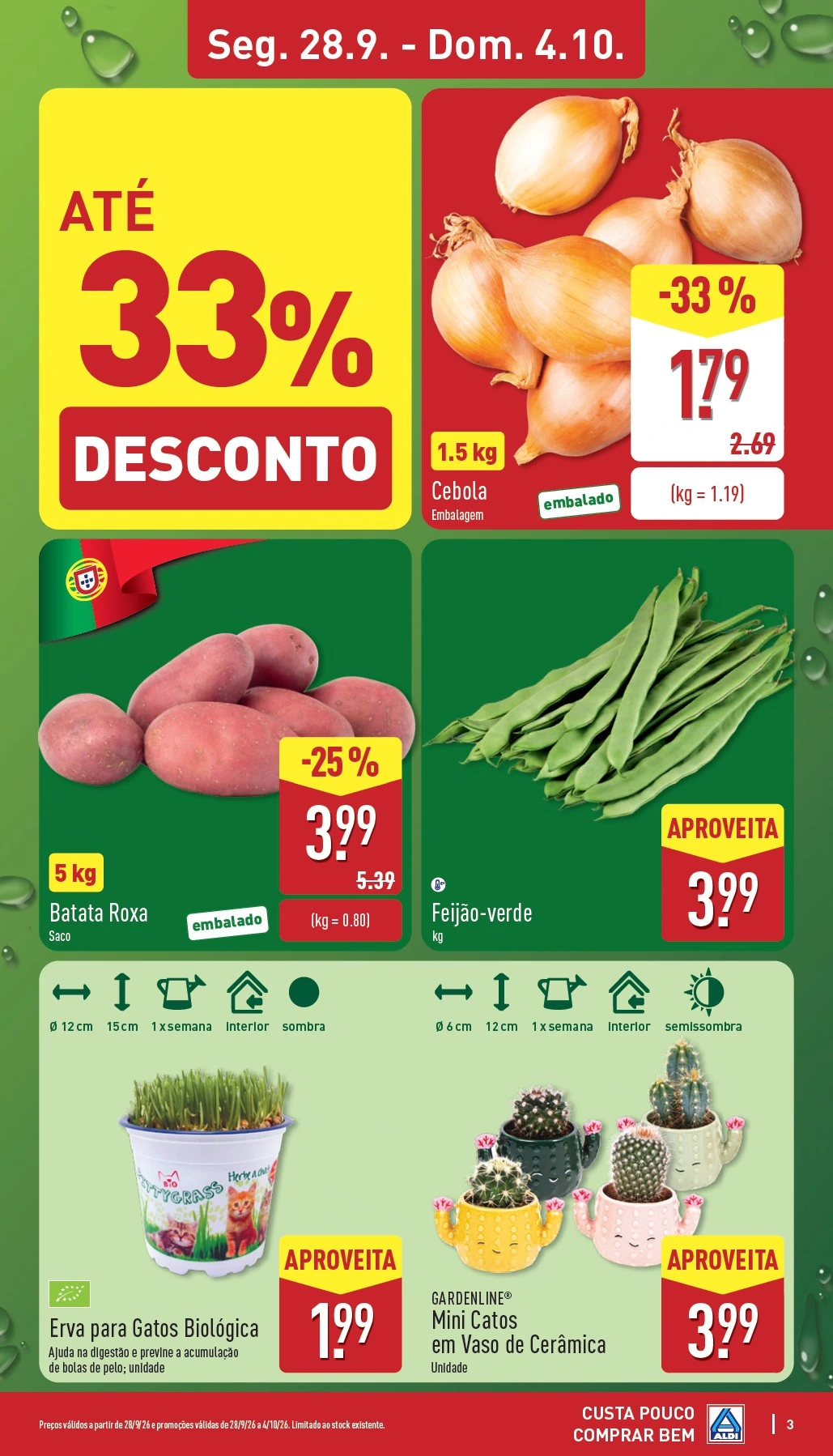 Flyer page 3